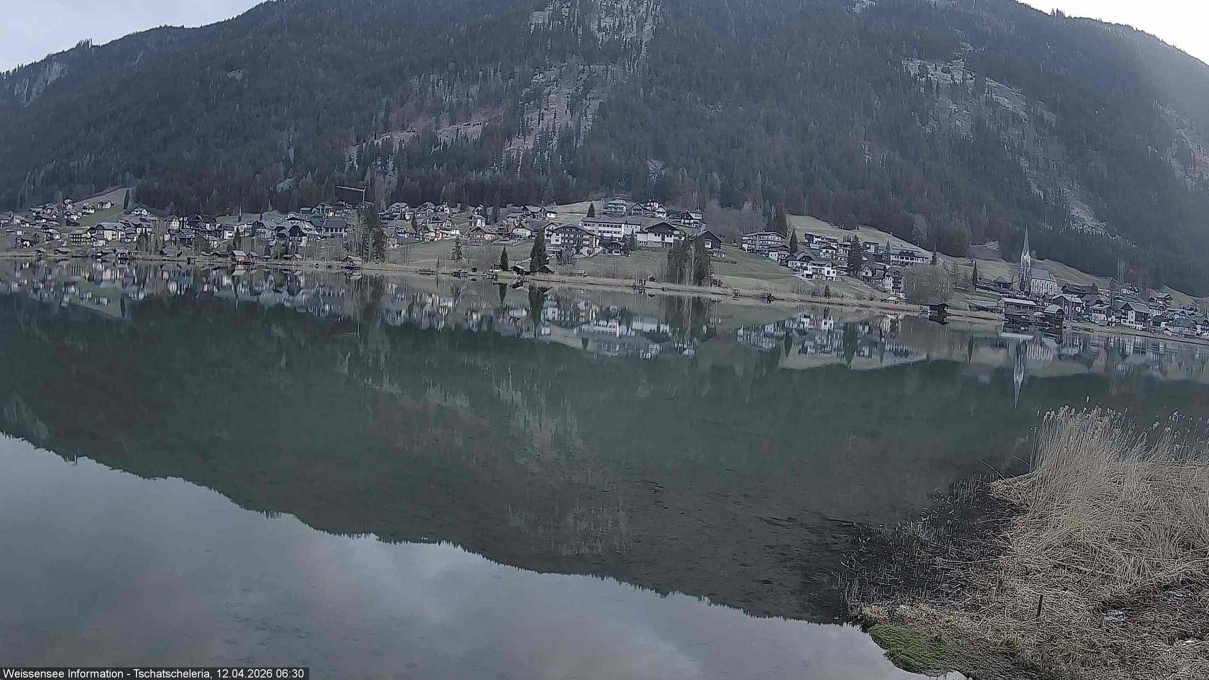 Archiv Foto Webcam Weissensee: Seeblick von Tschatscheleria