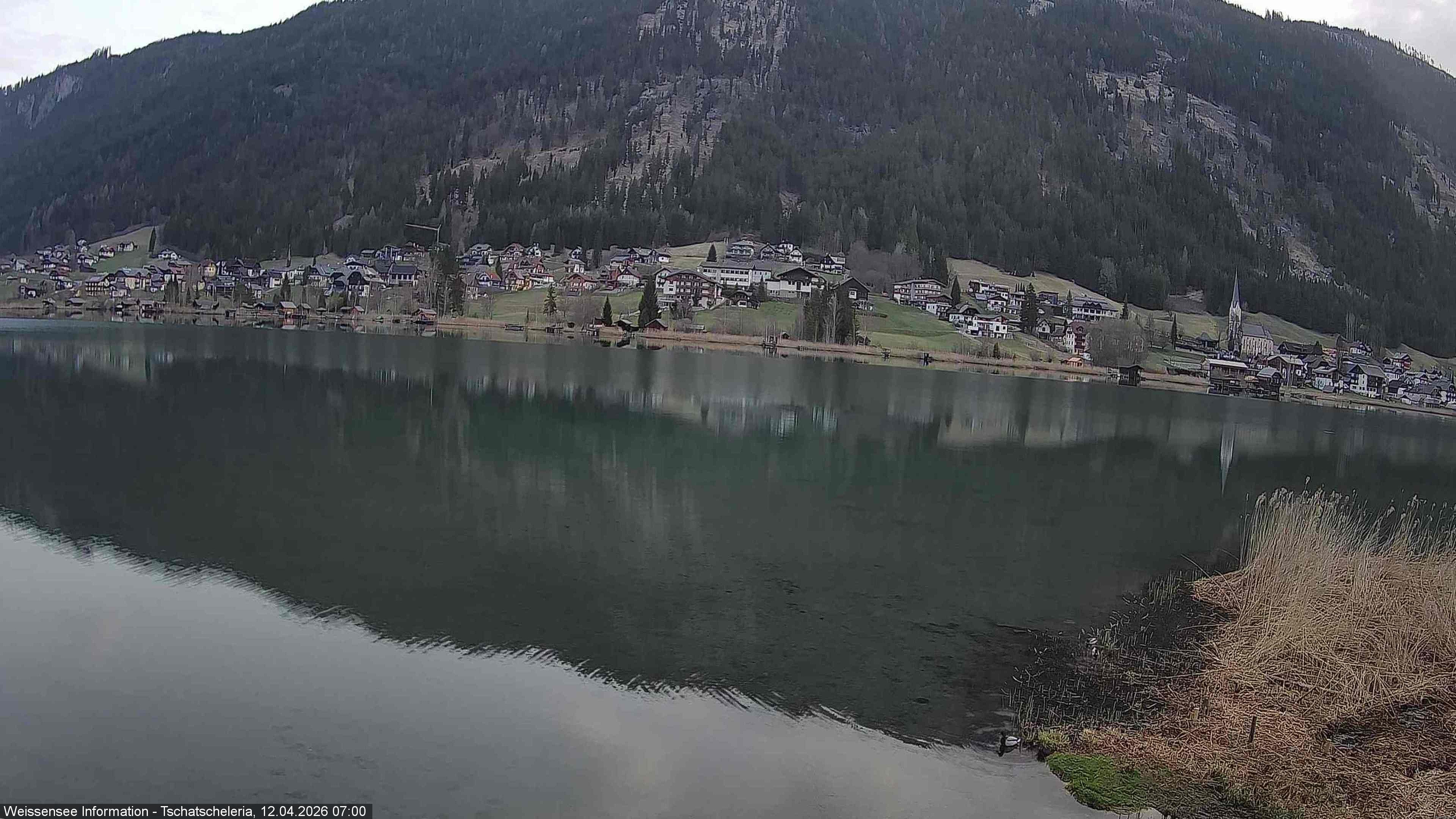 Archiv Foto Webcam Weissensee: Seeblick von Tschatscheleria