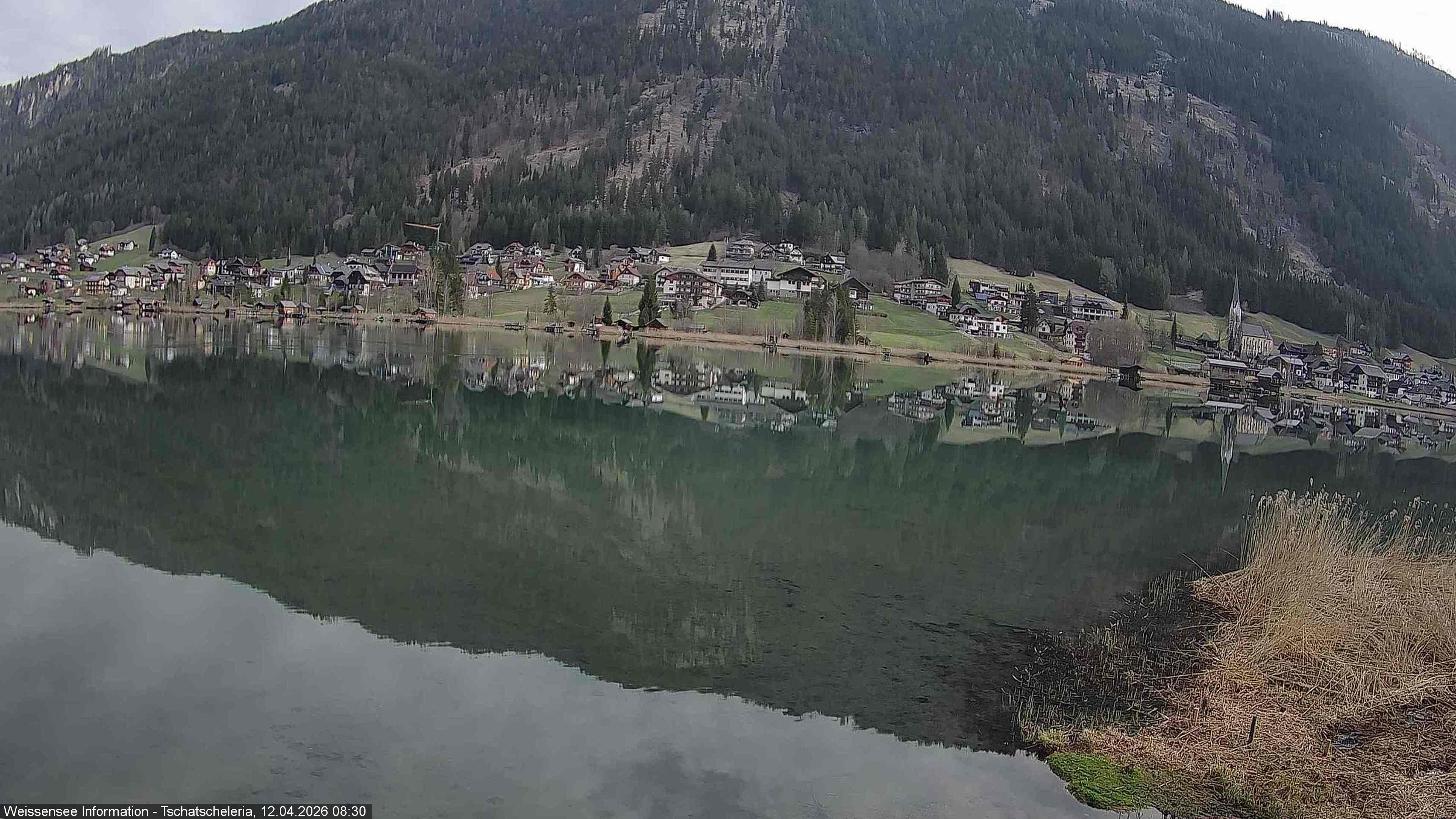 Archiv Foto Webcam Weissensee: Seeblick von Tschatscheleria