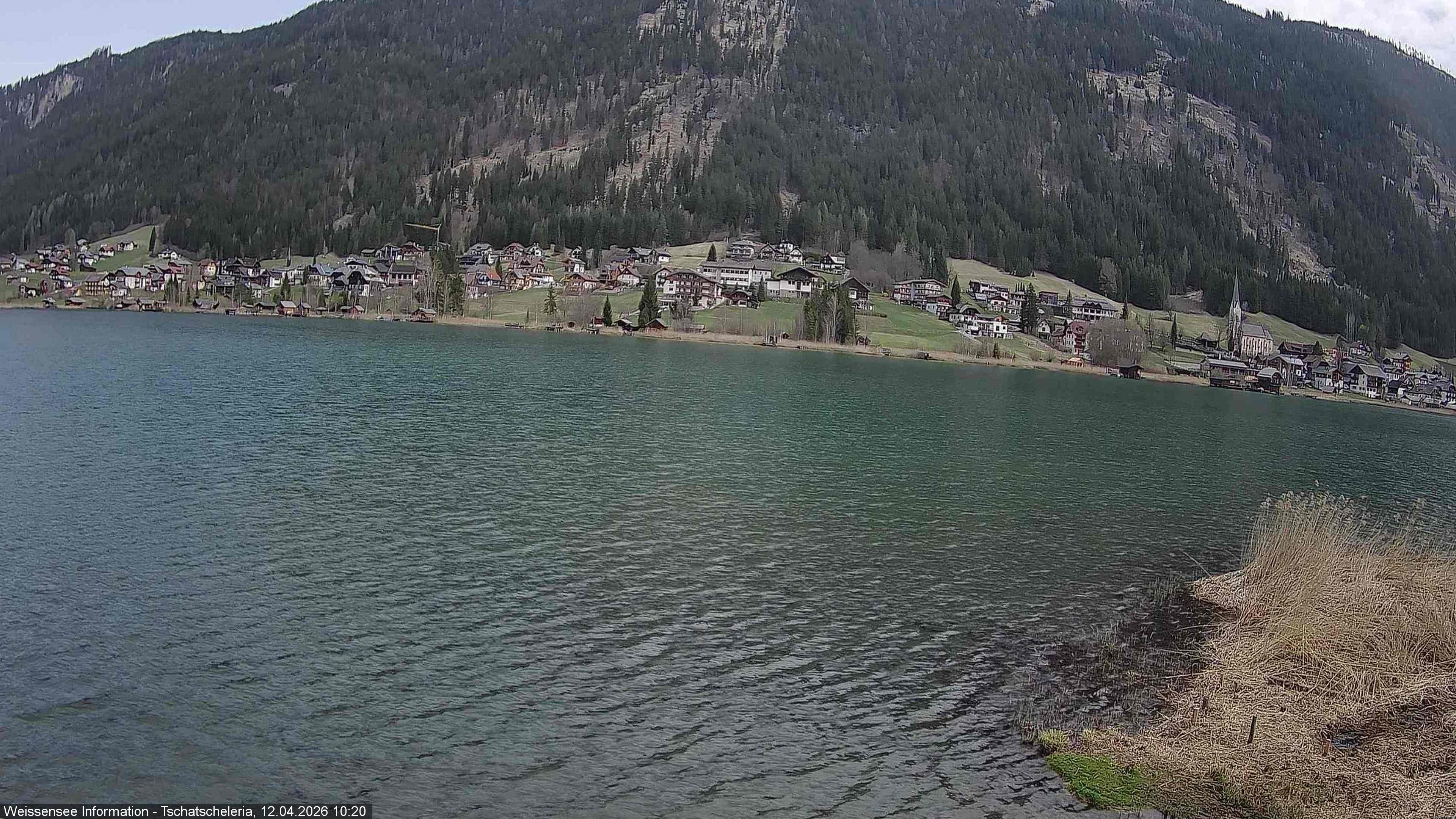 Archiv Foto Webcam Weissensee: Seeblick von Tschatscheleria
