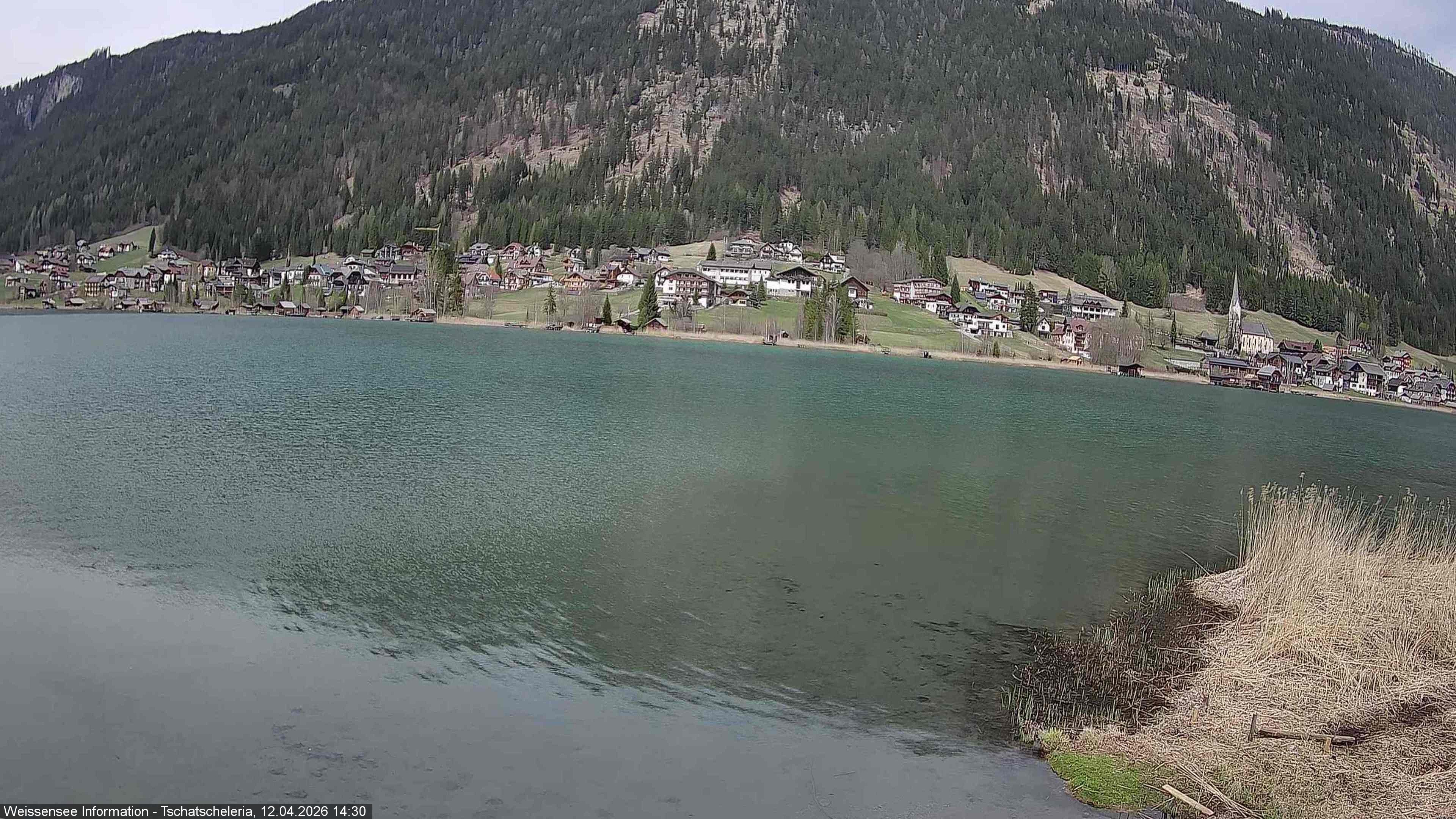 Archiv Foto Webcam Weissensee: Seeblick von Tschatscheleria