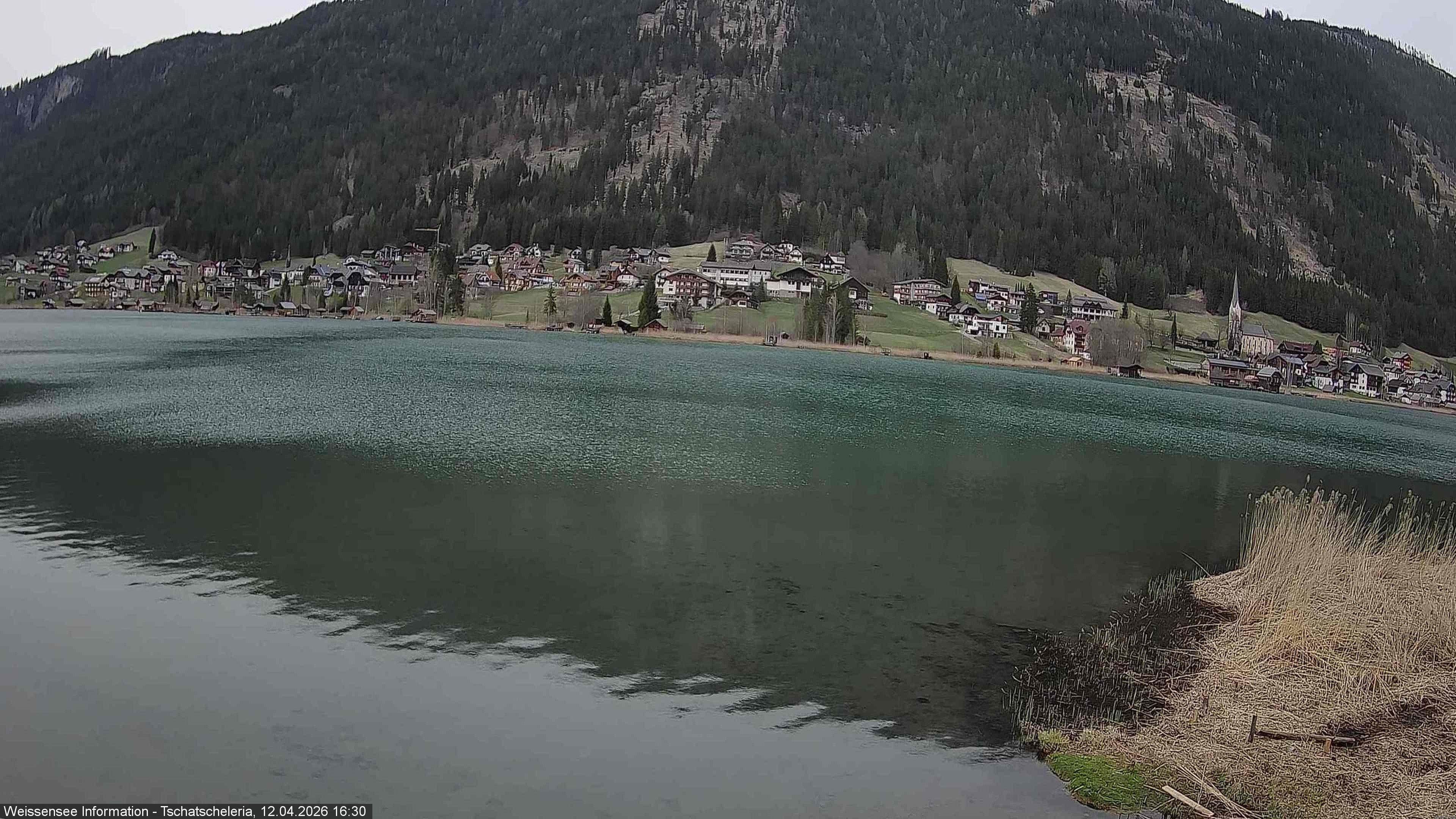 Archiv Foto Webcam Weissensee: Seeblick von Tschatscheleria