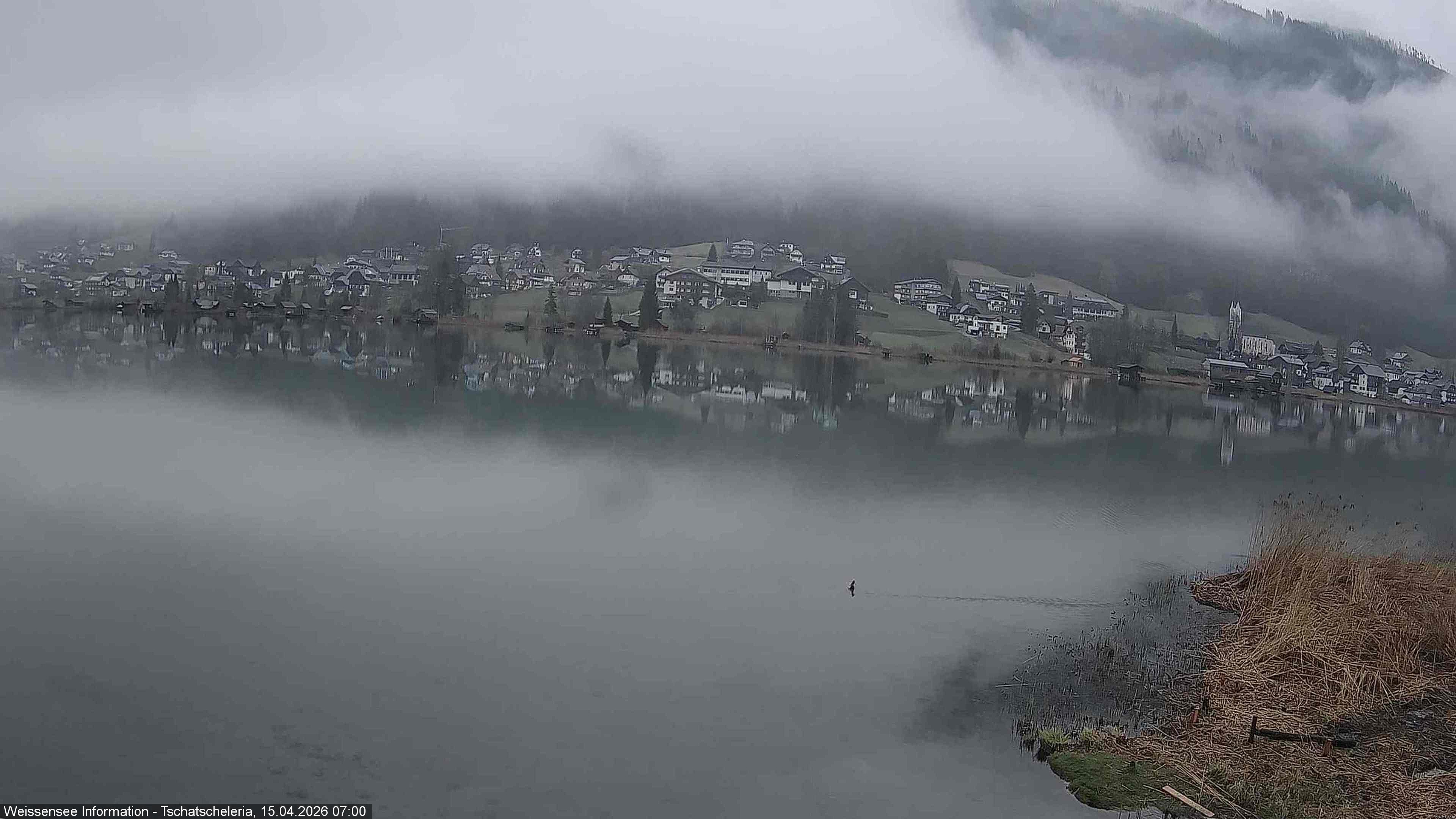 Archiv Foto Webcam Weissensee: Seeblick von Tschatscheleria