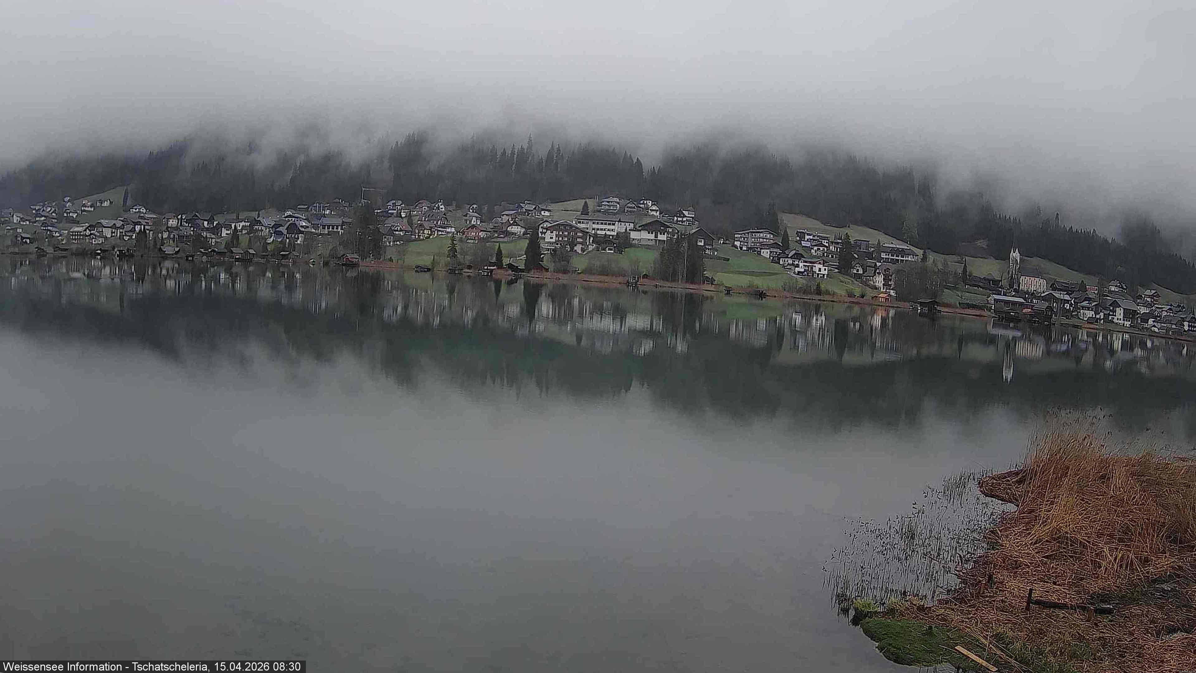 Archiv Foto Webcam Weissensee: Seeblick von Tschatscheleria