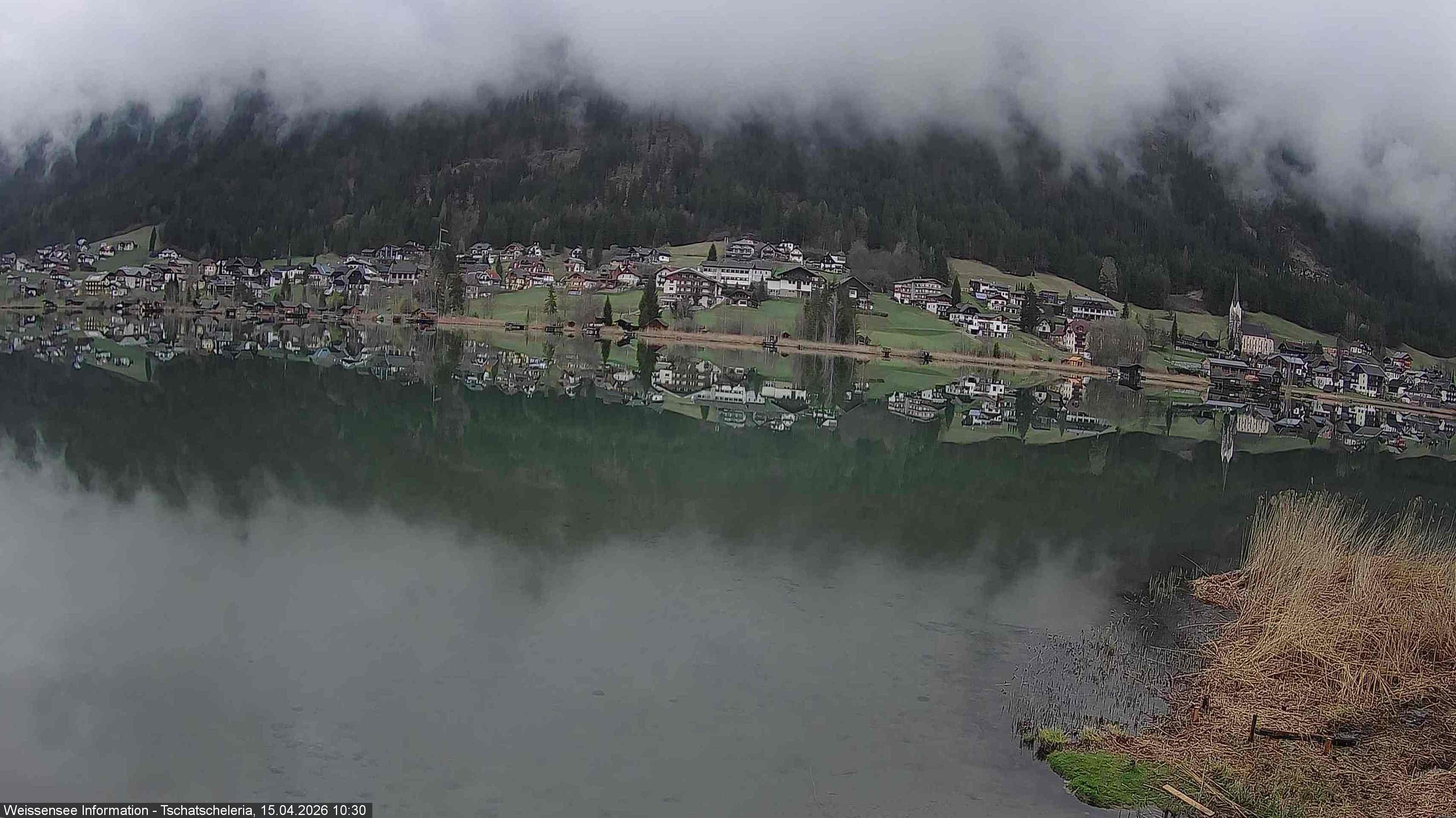 Archiv Foto Webcam Weissensee: Seeblick von Tschatscheleria