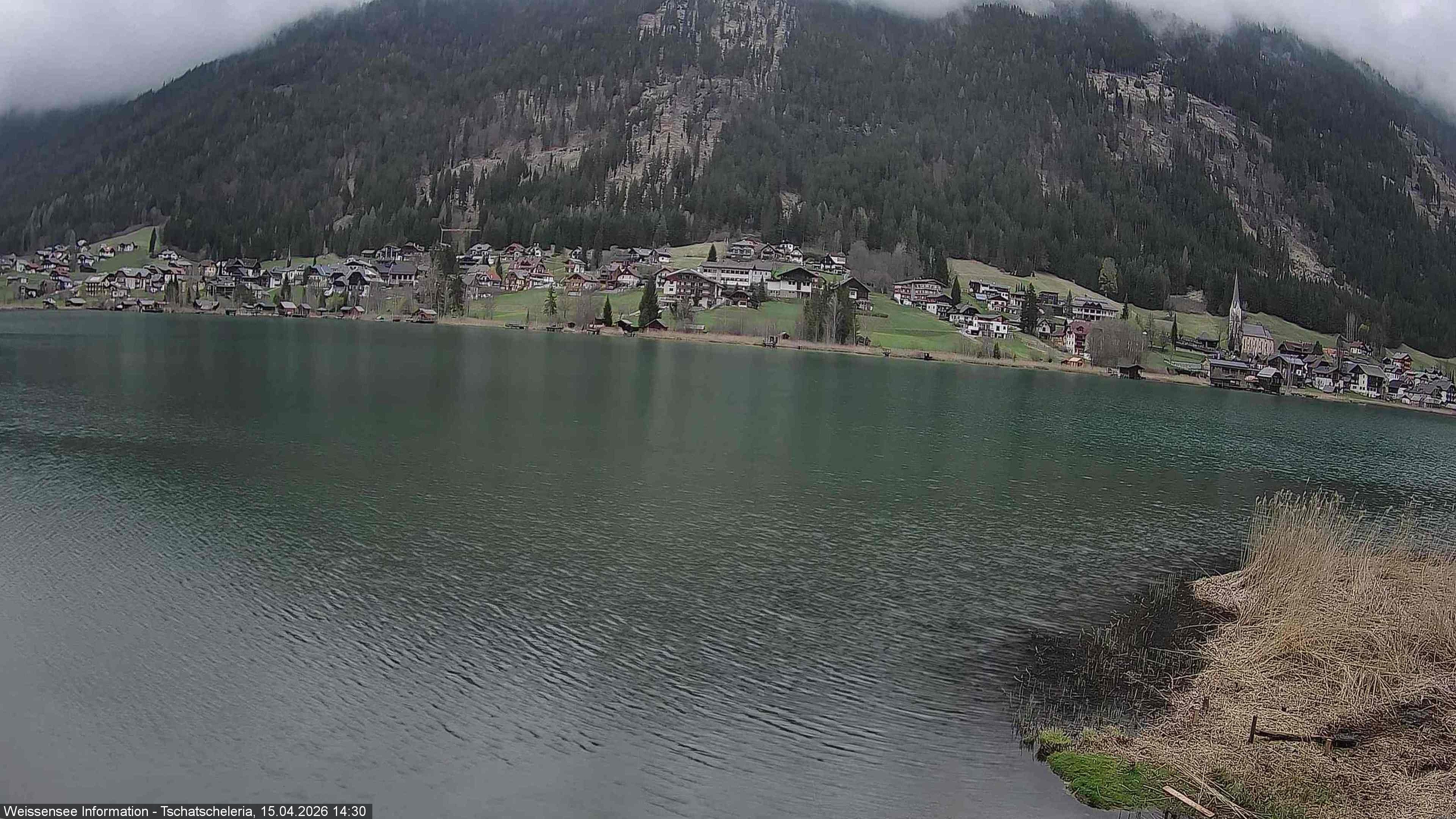 Archiv Foto Webcam Weissensee: Seeblick von Tschatscheleria