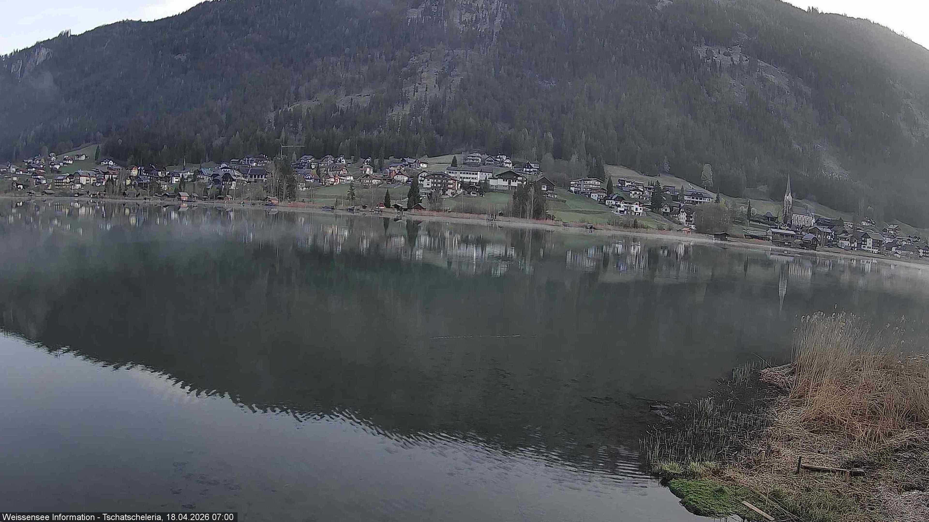 Archiv Foto Webcam Weissensee: Seeblick von Tschatscheleria