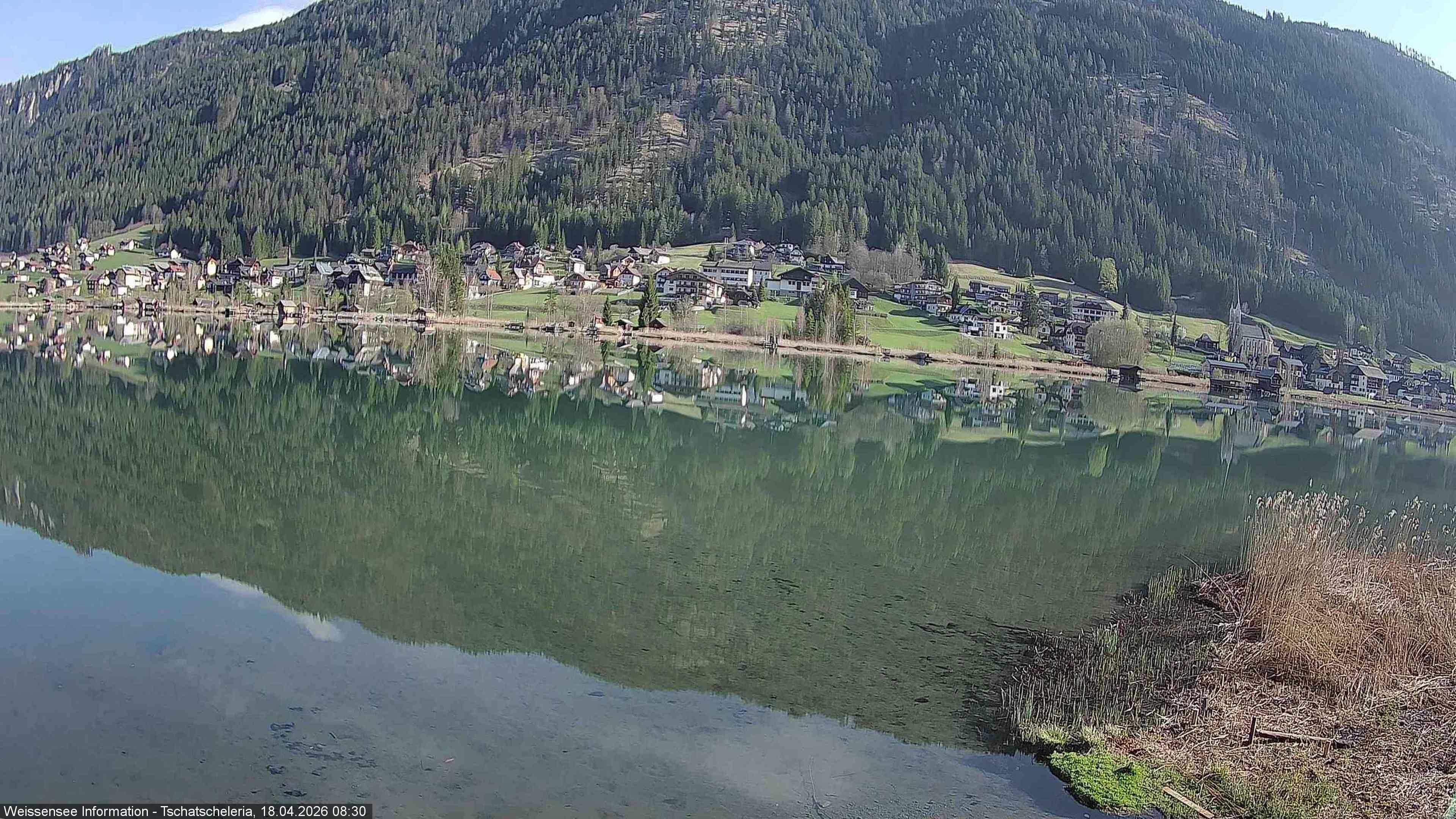 Archiv Foto Webcam Weissensee: Seeblick von Tschatscheleria