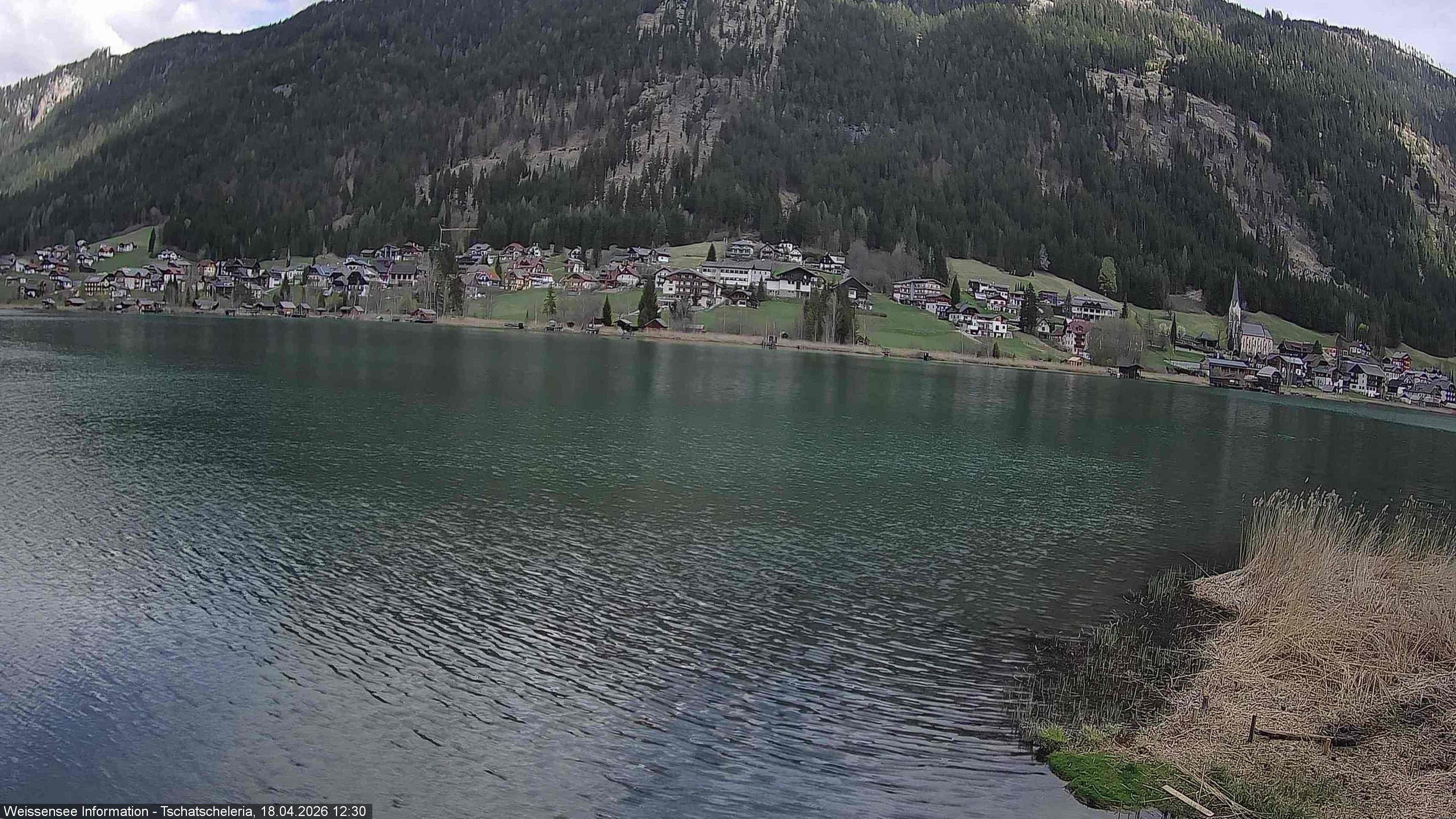 Archiv Foto Webcam Weissensee: Seeblick von Tschatscheleria