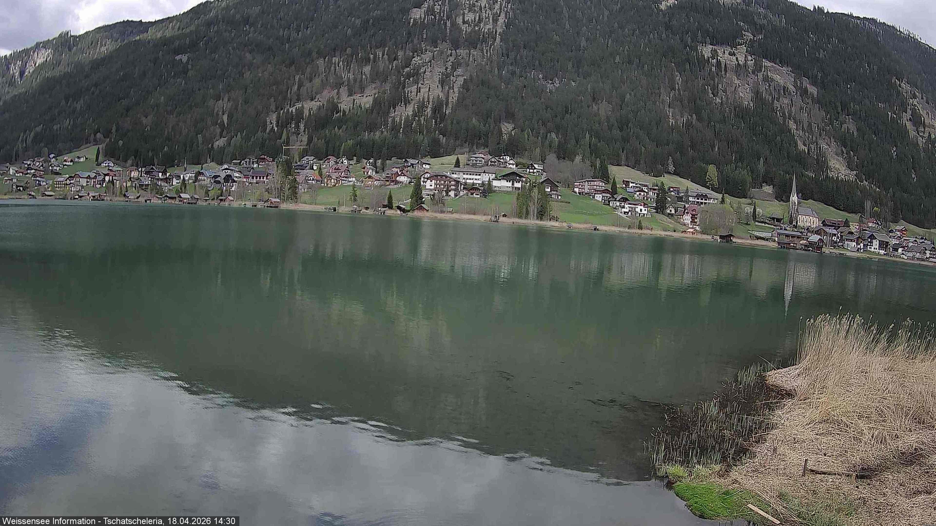 Archiv Foto Webcam Weissensee: Seeblick von Tschatscheleria