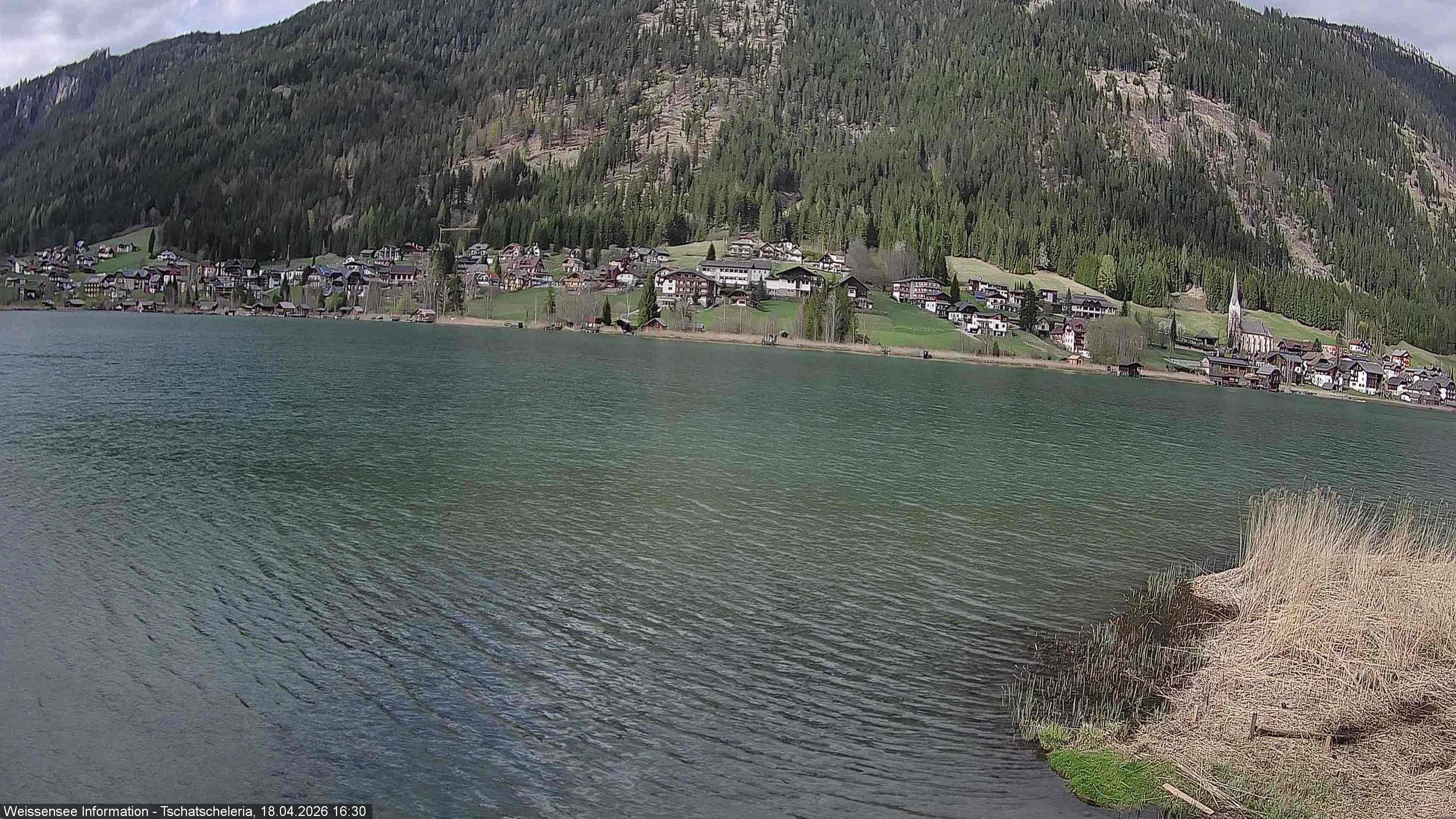 Archiv Foto Webcam Weissensee: Seeblick von Tschatscheleria