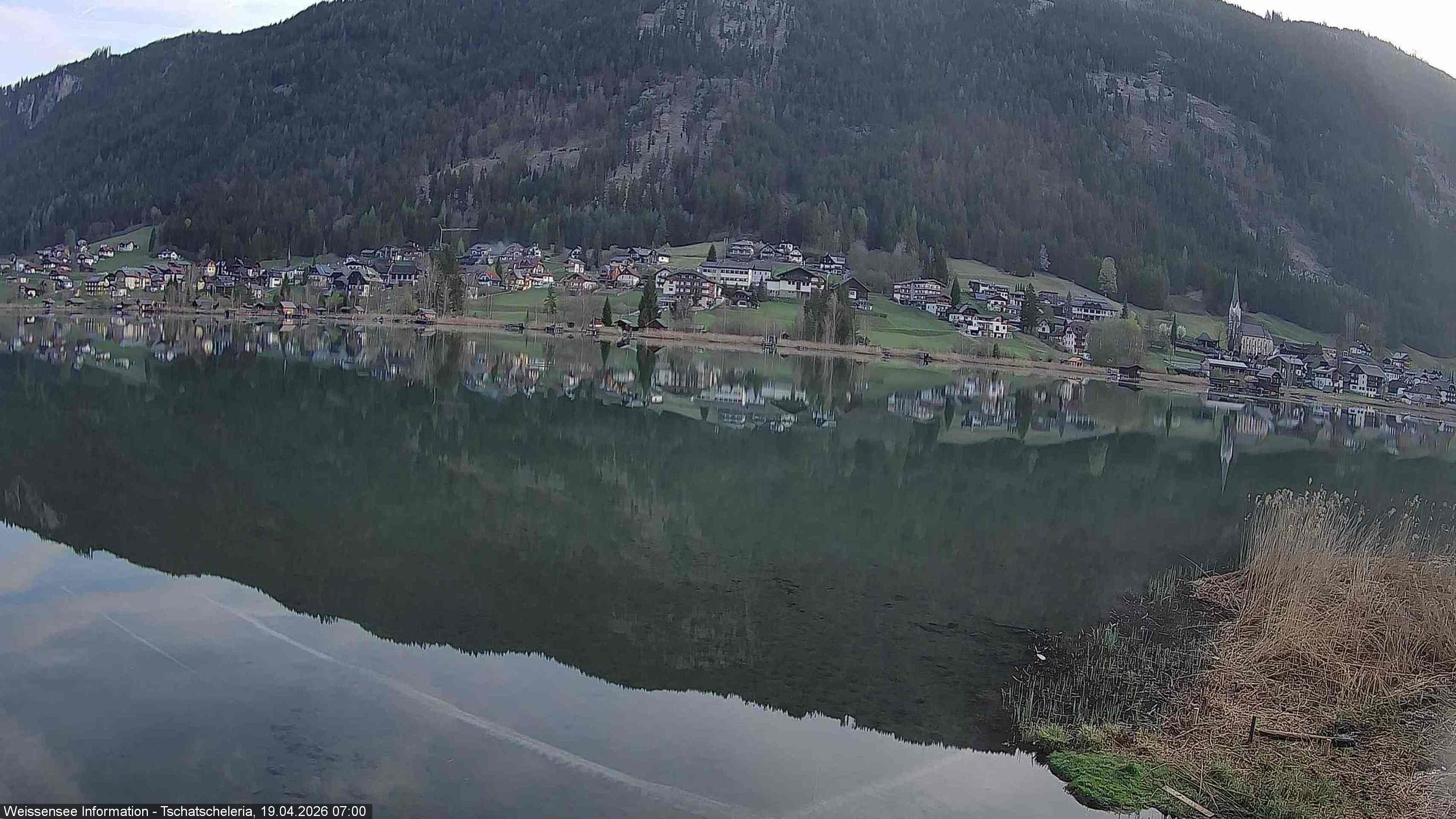 Archiv Foto Webcam Weissensee: Seeblick von Tschatscheleria
