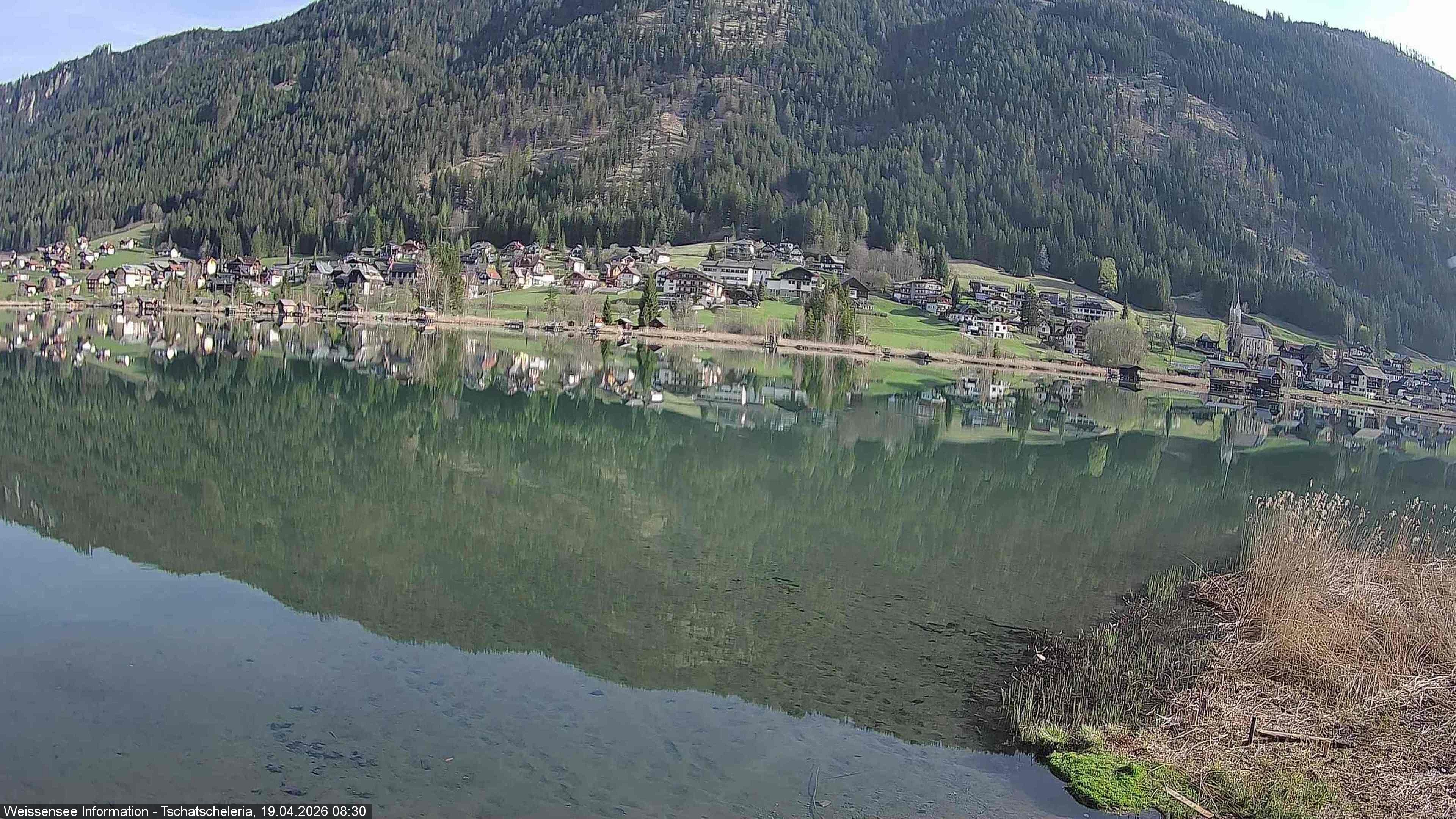Archiv Foto Webcam Weissensee: Seeblick von Tschatscheleria