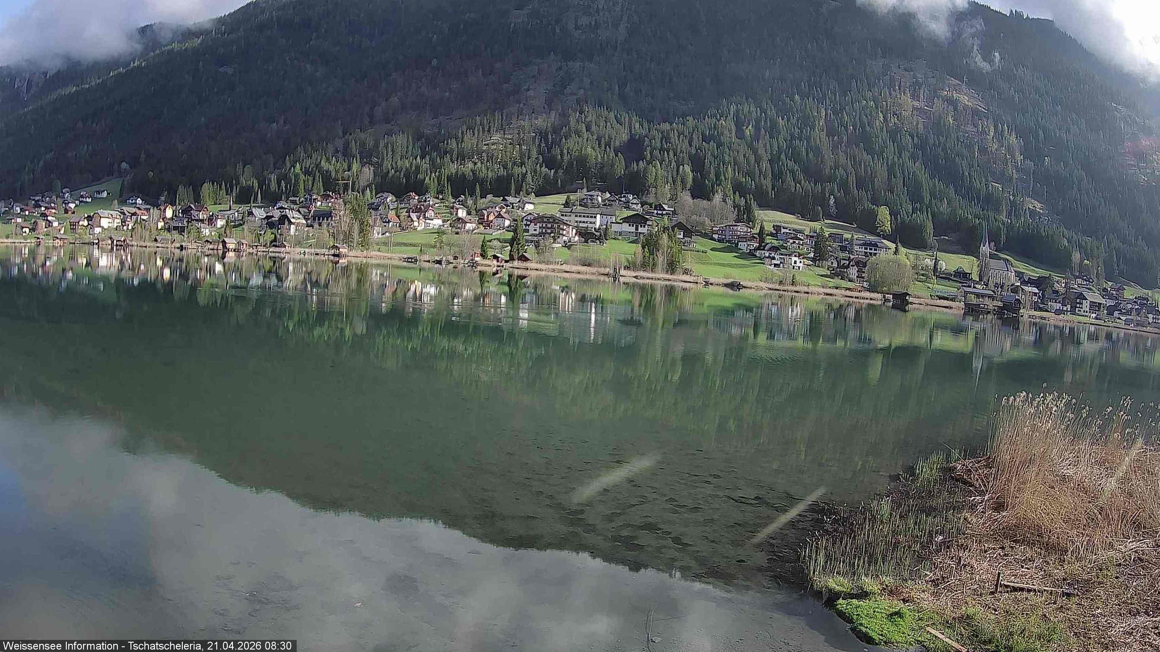 Archiv Foto Webcam Weissensee: Seeblick von Tschatscheleria