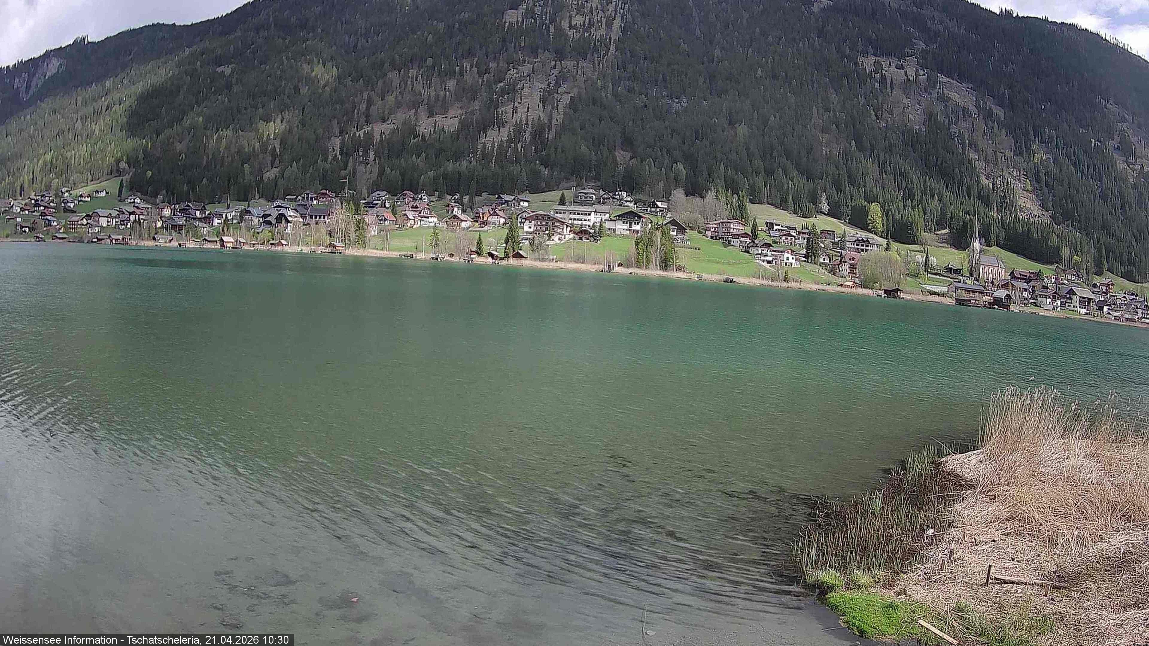 Archiv Foto Webcam Weissensee: Seeblick von Tschatscheleria