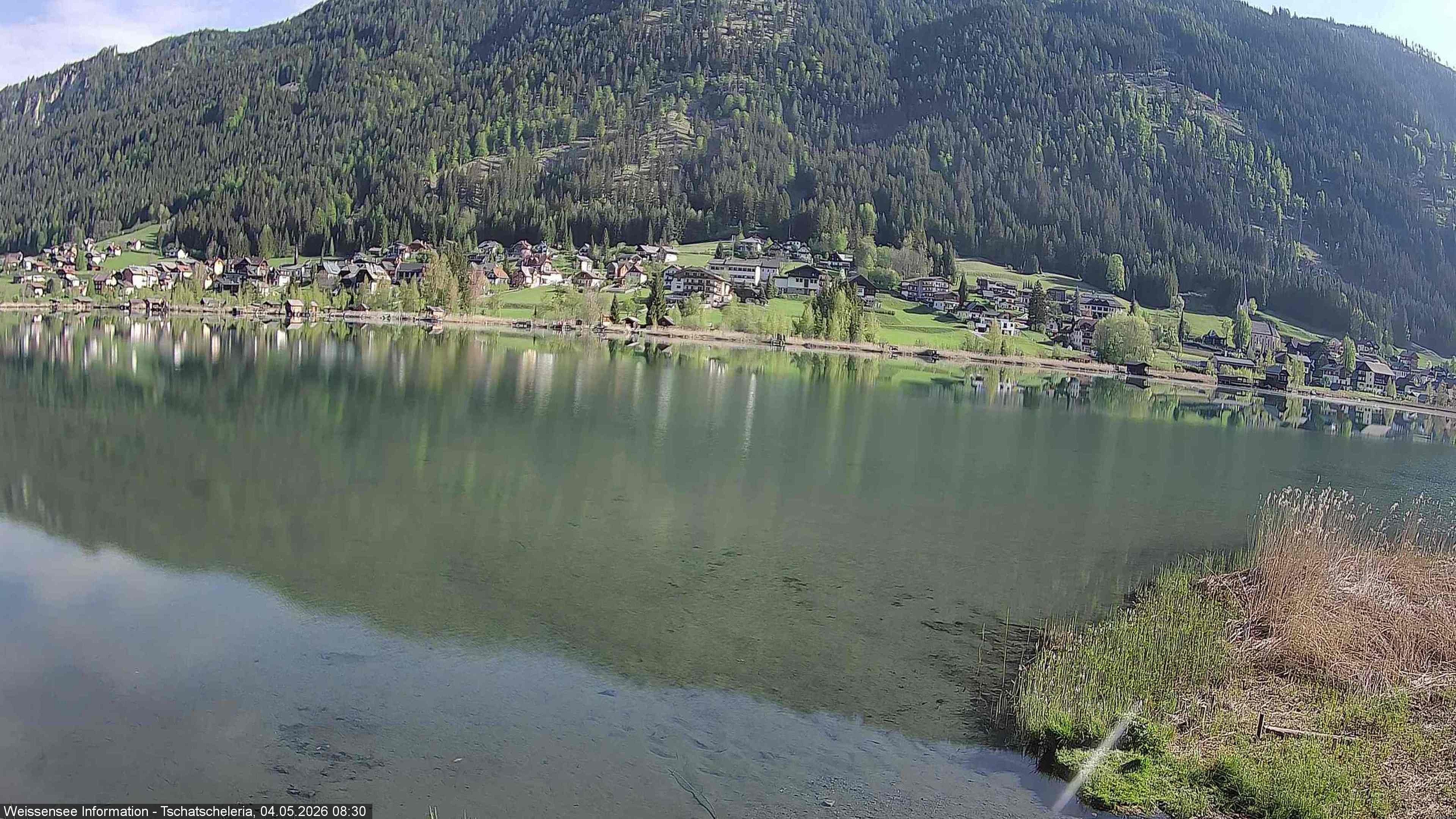 Archiv Foto Webcam Weissensee: Seeblick von Tschatscheleria