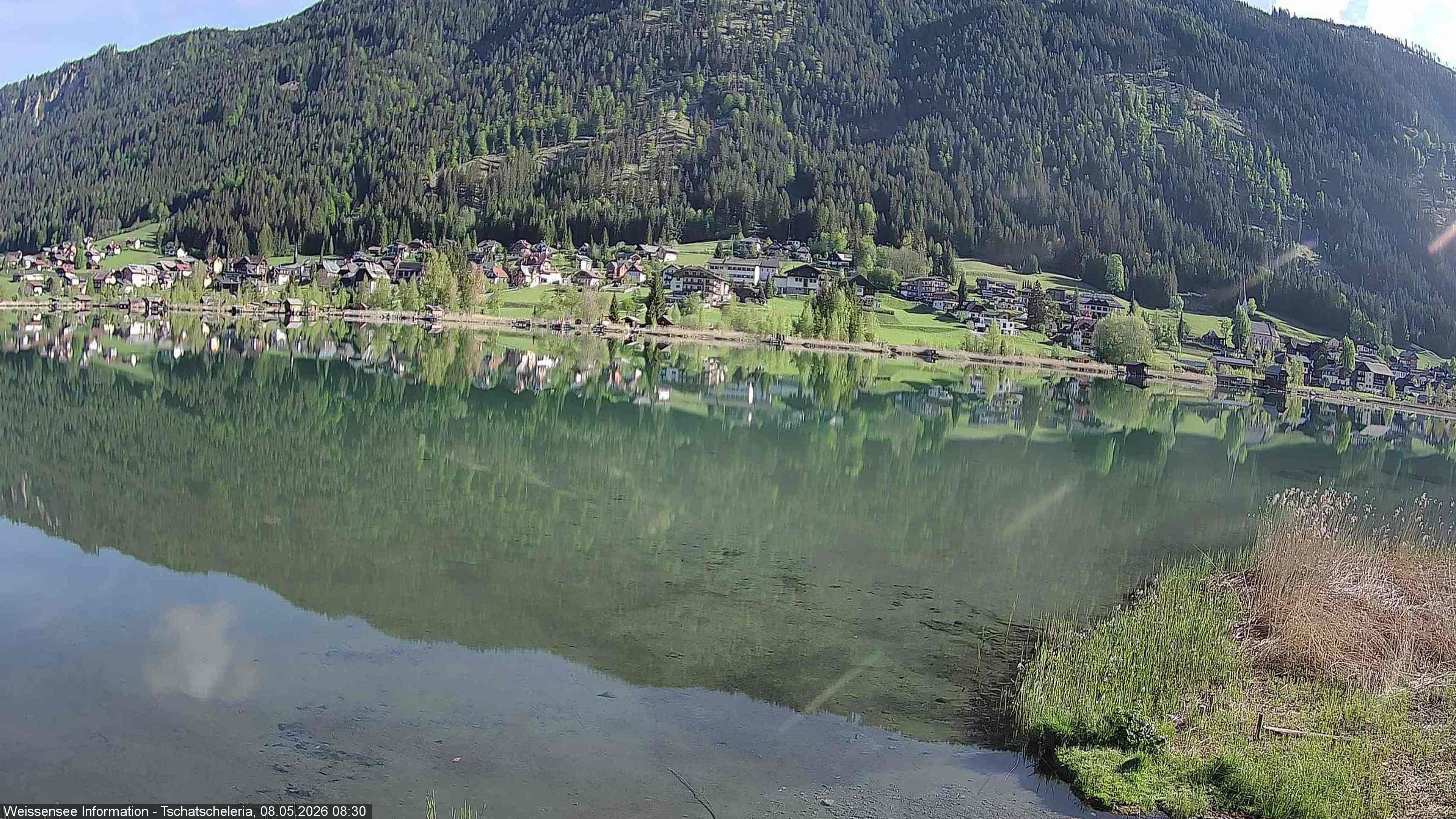 Archiv Foto Webcam Weissensee: Seeblick von Tschatscheleria
