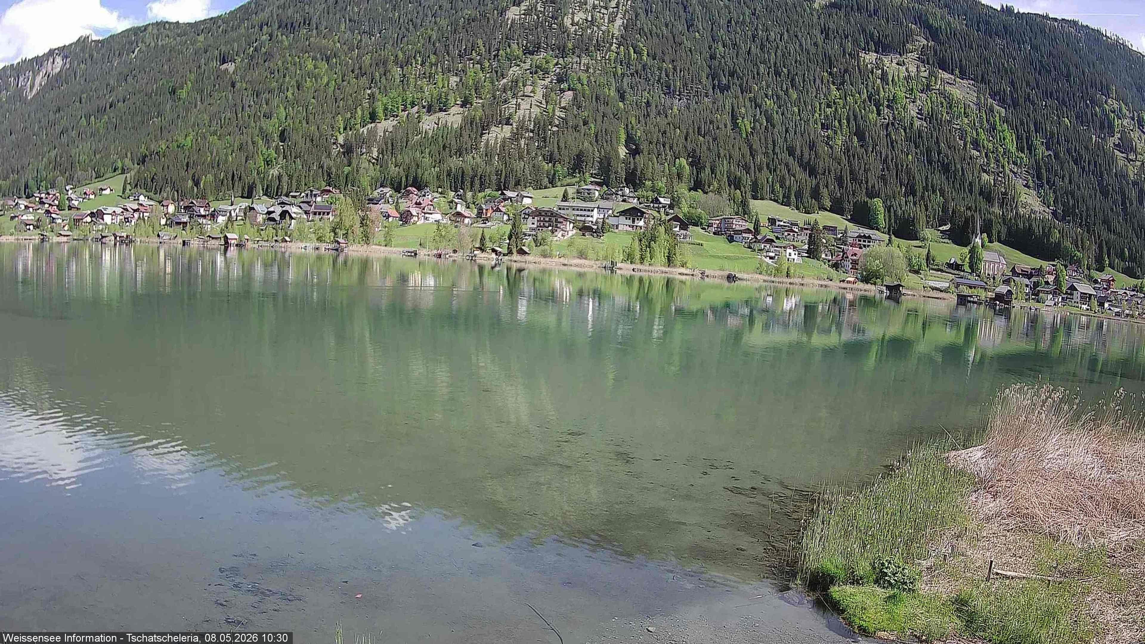 Archiv Foto Webcam Weissensee: Seeblick von Tschatscheleria