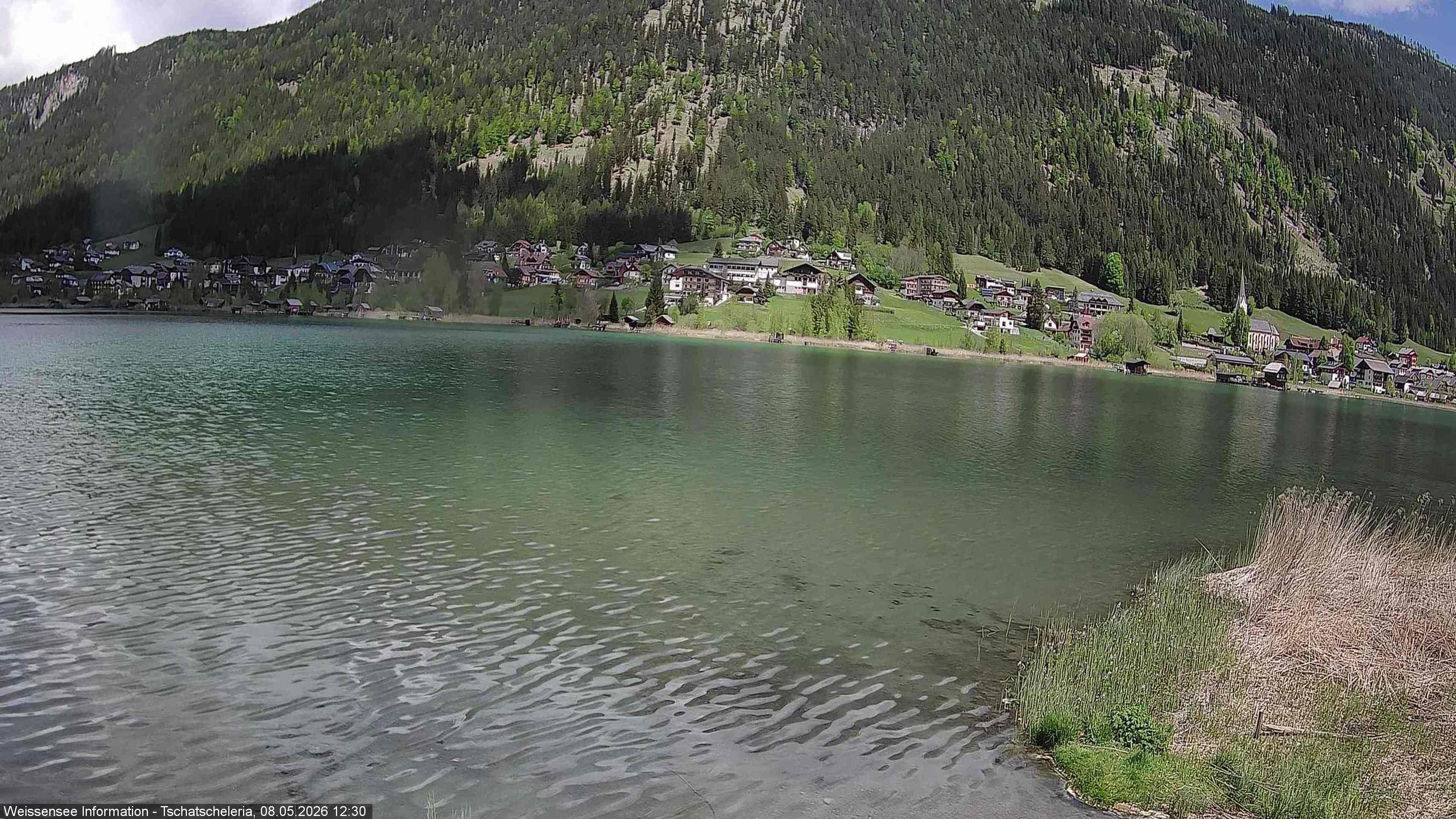 Archiv Foto Webcam Weissensee: Seeblick von Tschatscheleria