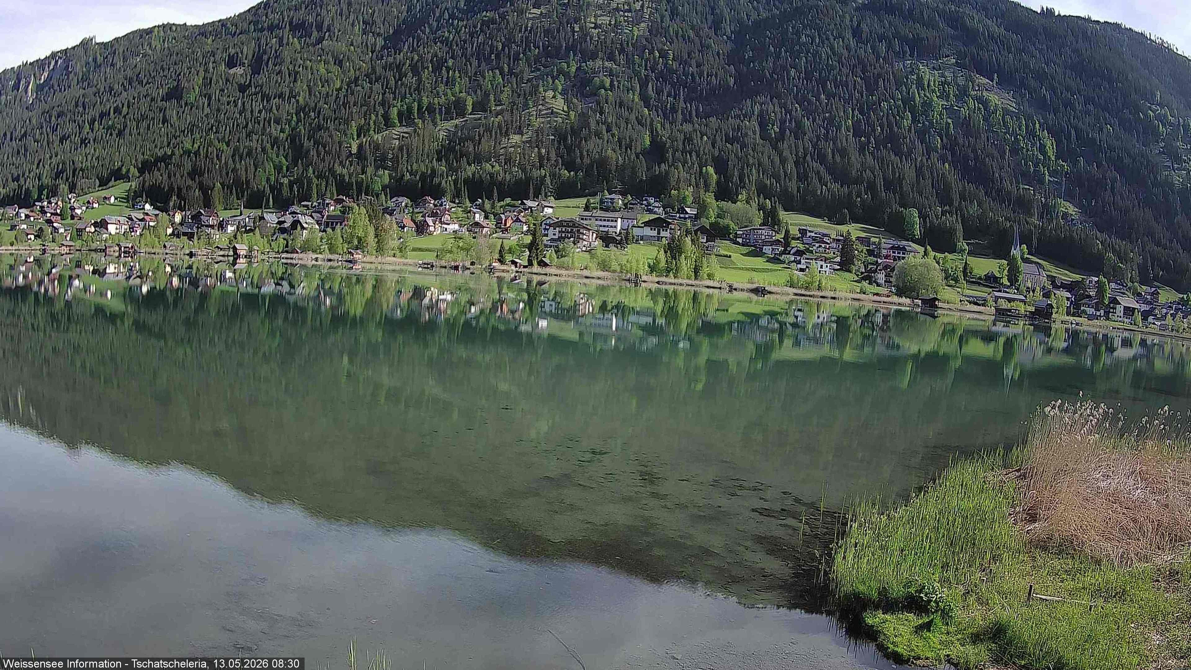 Archiv Foto Webcam Weissensee: Seeblick von Tschatscheleria