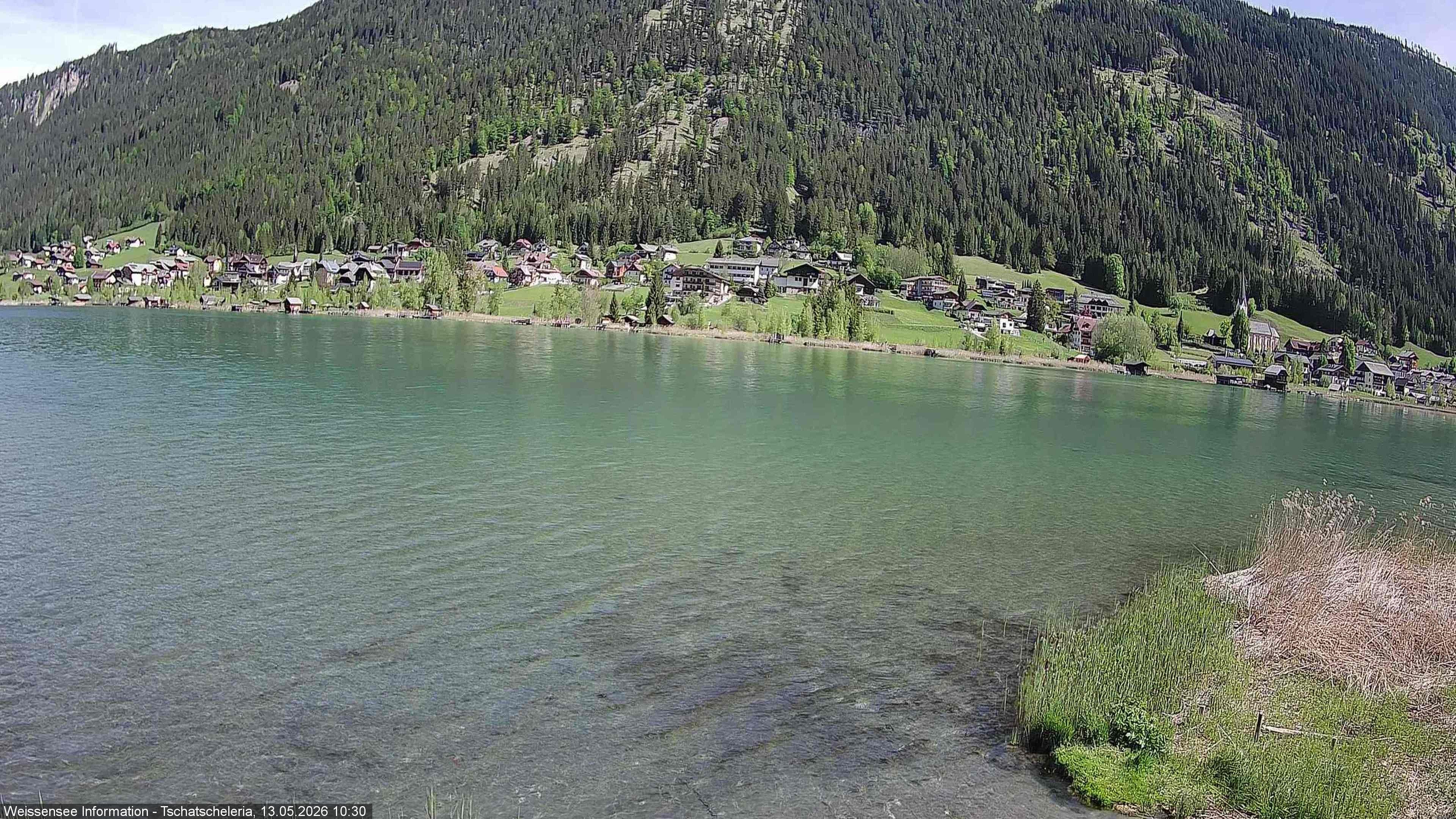 Archiv Foto Webcam Weissensee: Seeblick von Tschatscheleria
