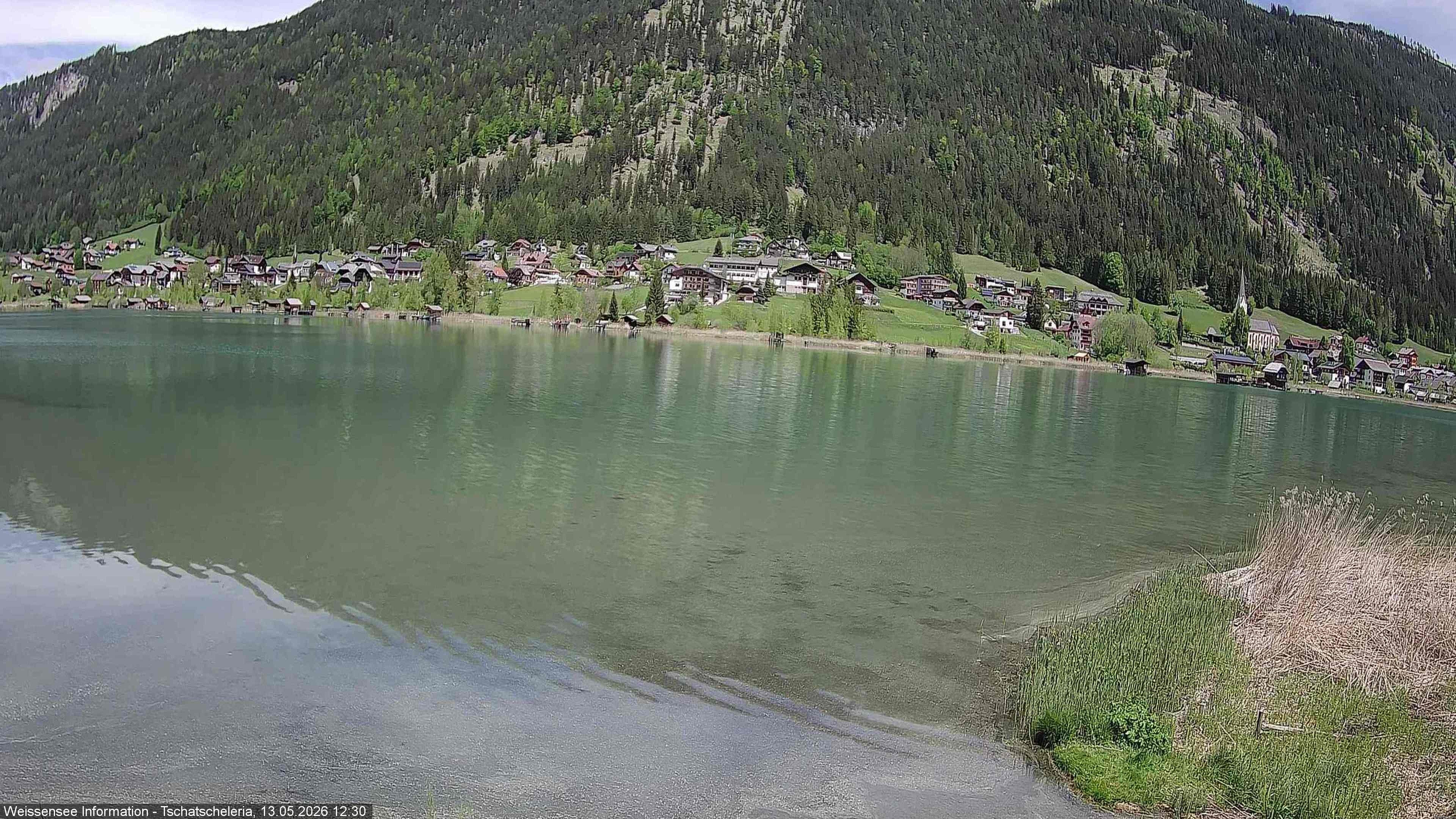 Archiv Foto Webcam Weissensee: Seeblick von Tschatscheleria