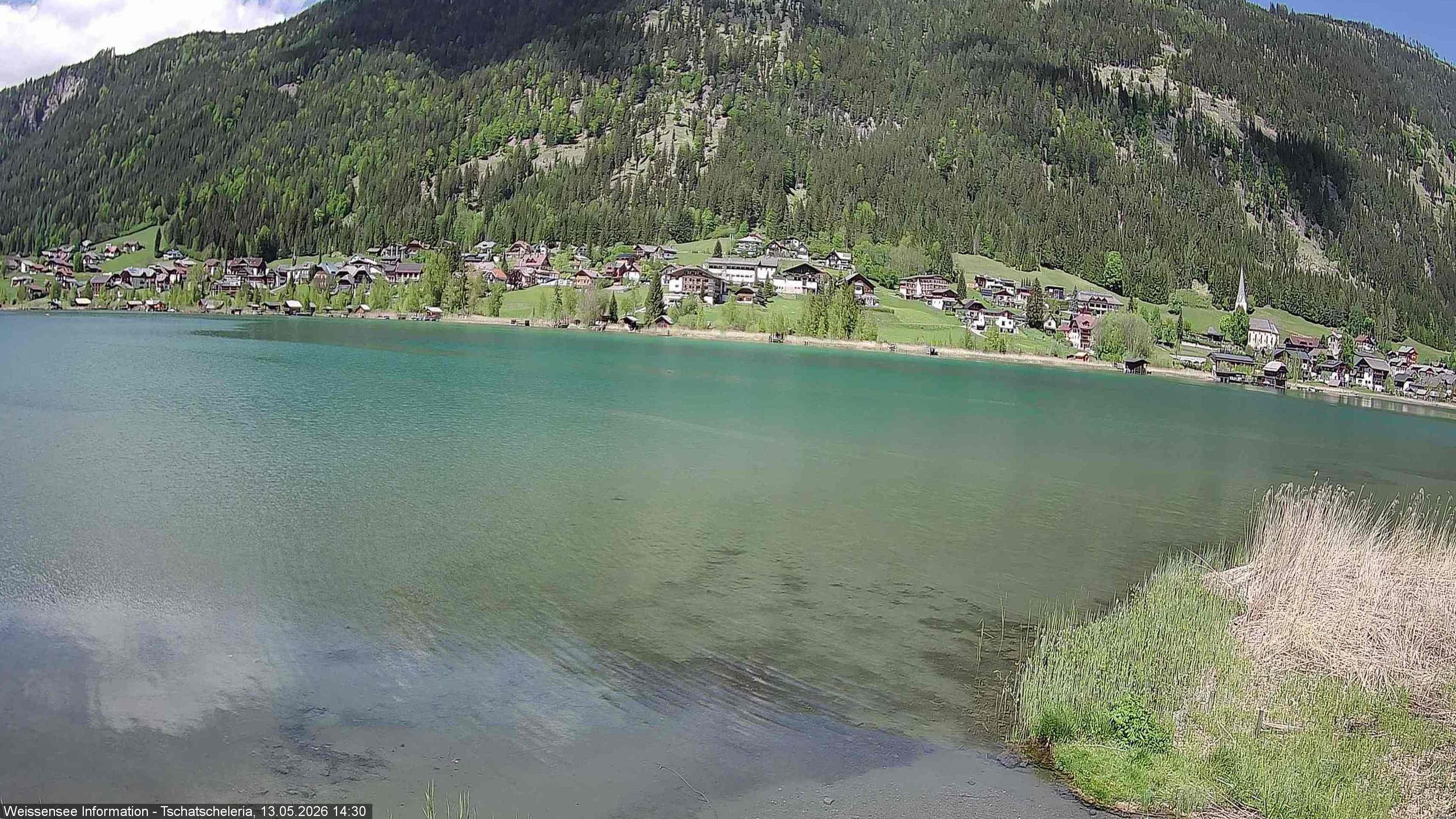 Archiv Foto Webcam Weissensee: Seeblick von Tschatscheleria