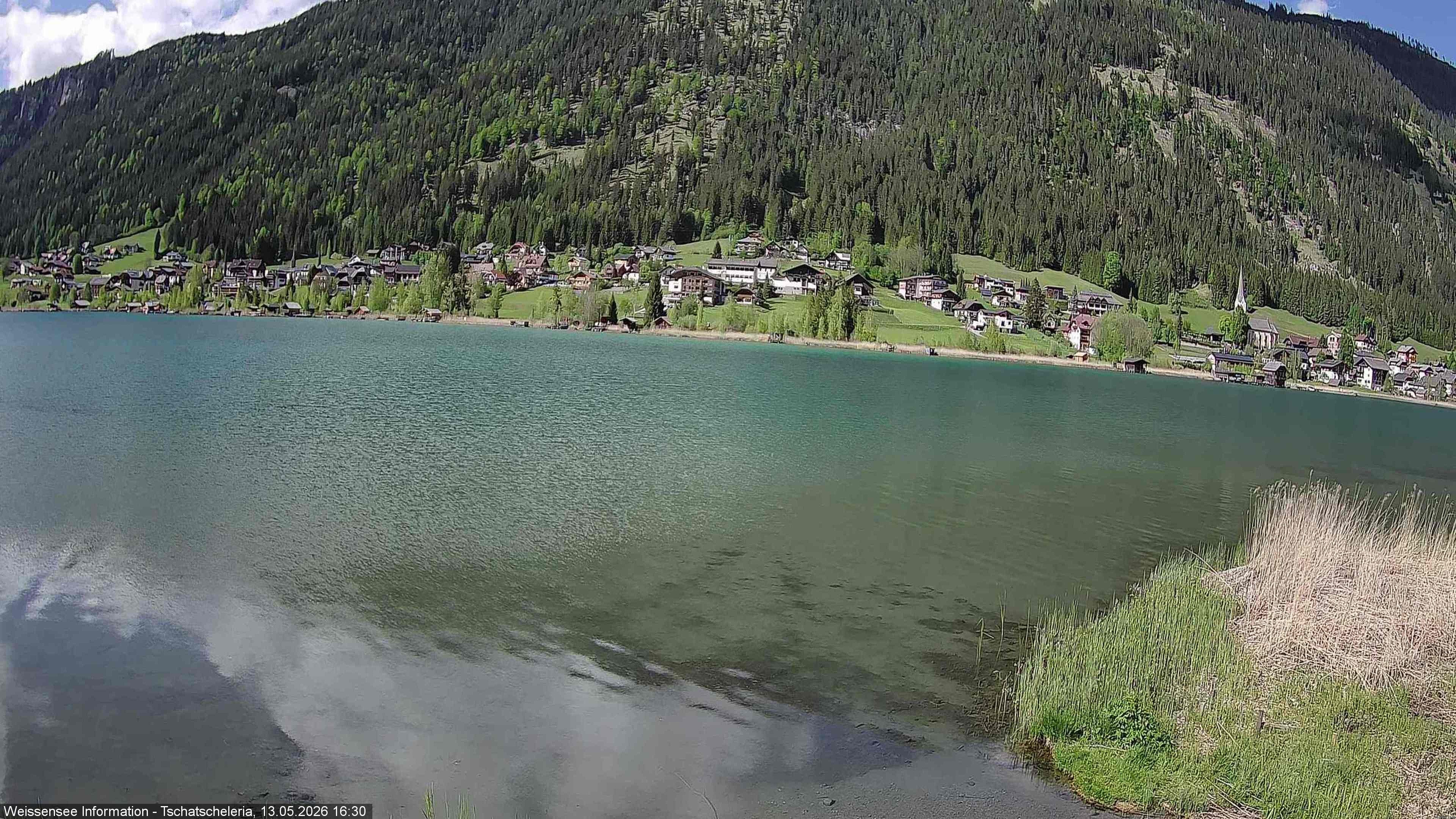 Archiv Foto Webcam Weissensee: Seeblick von Tschatscheleria