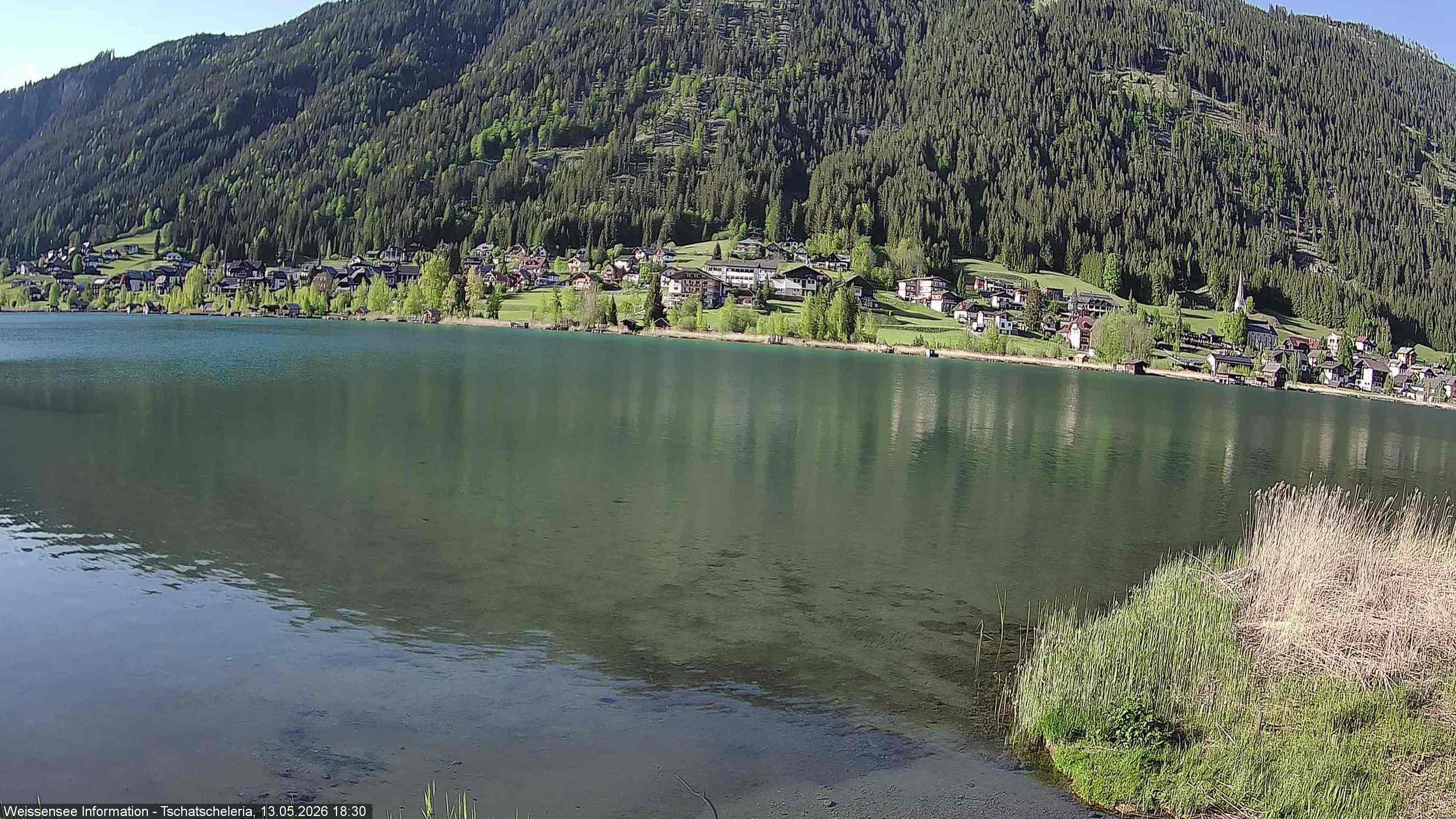 Archiv Foto Webcam Weissensee: Seeblick von Tschatscheleria