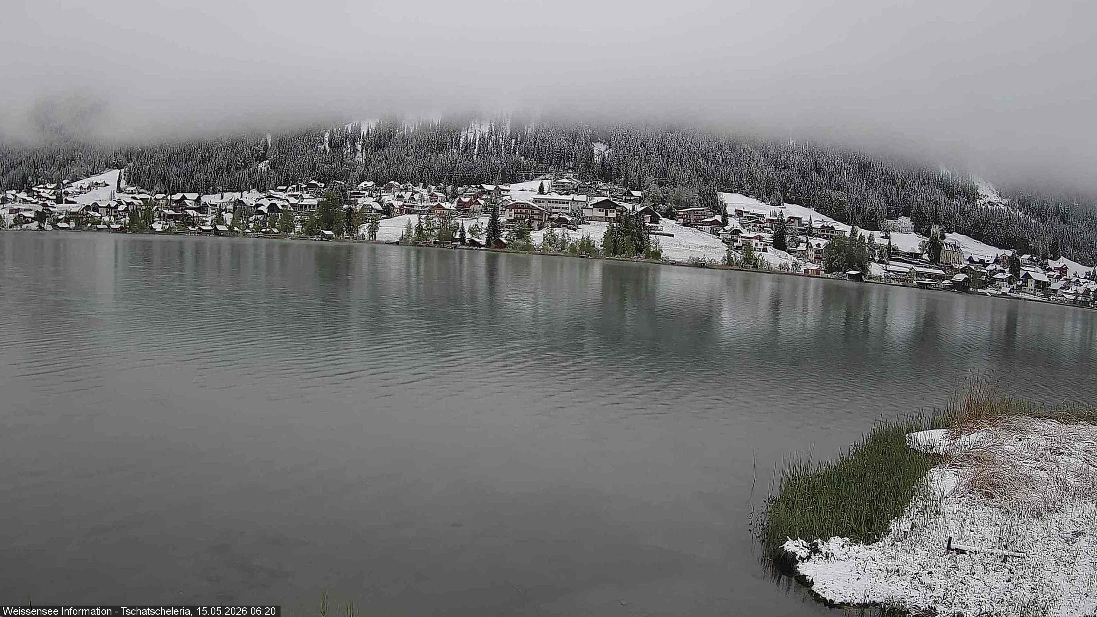 Archiv Foto Webcam Weissensee: Seeblick von Tschatscheleria