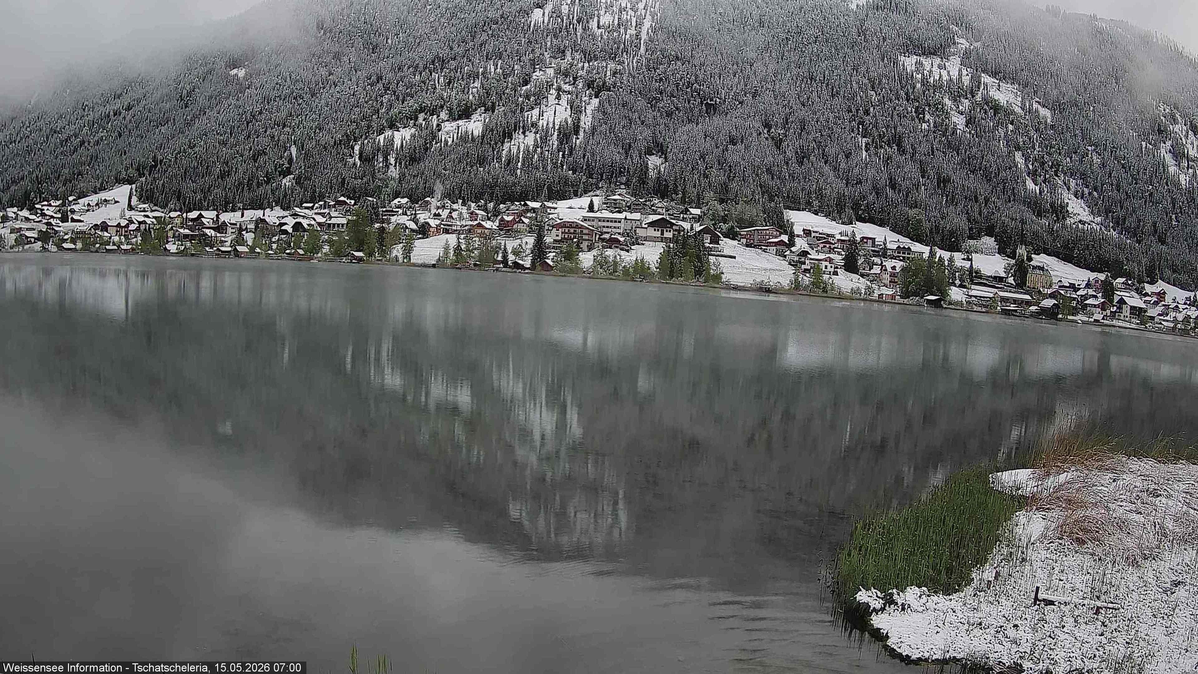 Archiv Foto Webcam Weissensee: Seeblick von Tschatscheleria