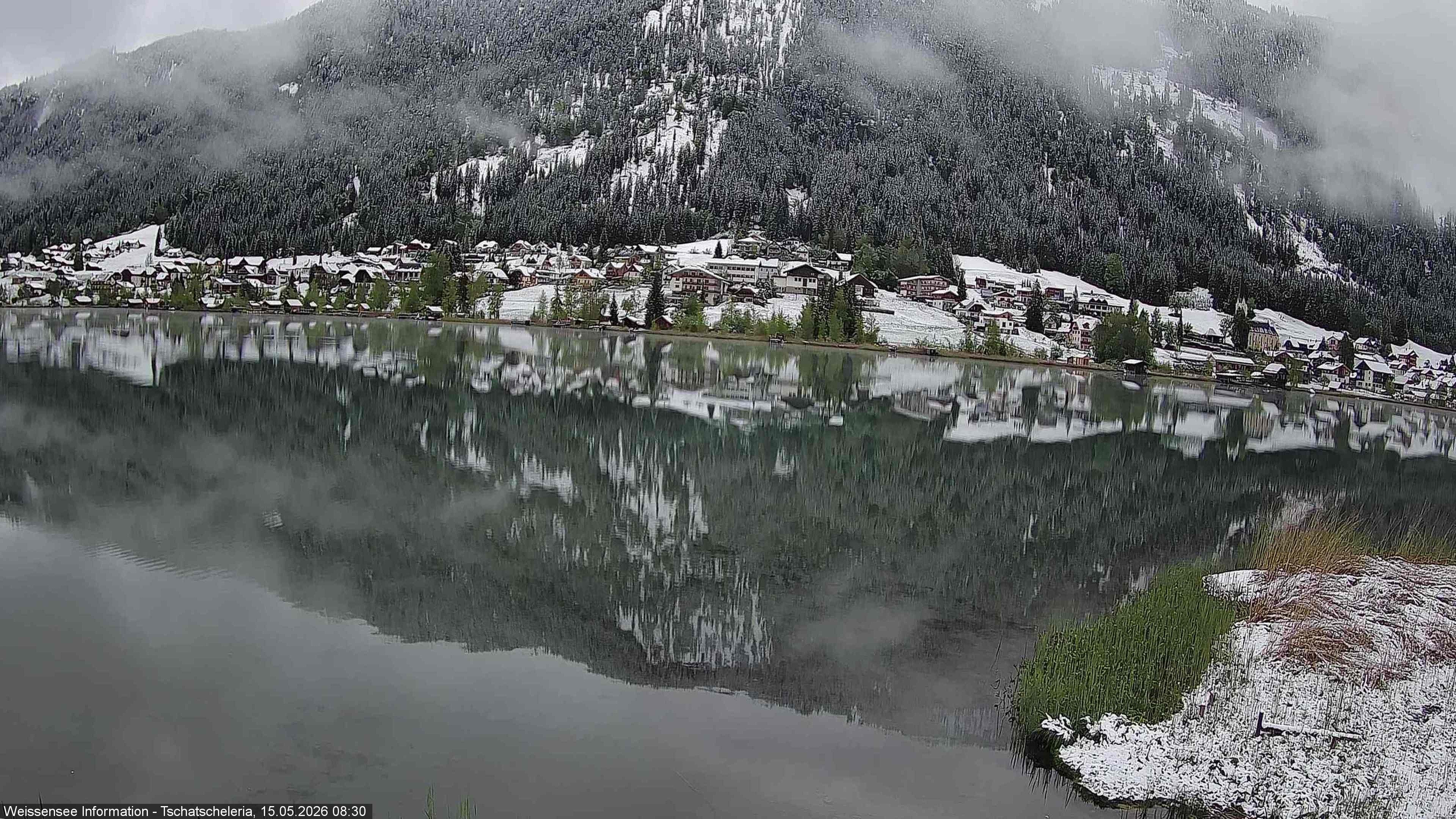 Archiv Foto Webcam Weissensee: Seeblick von Tschatscheleria