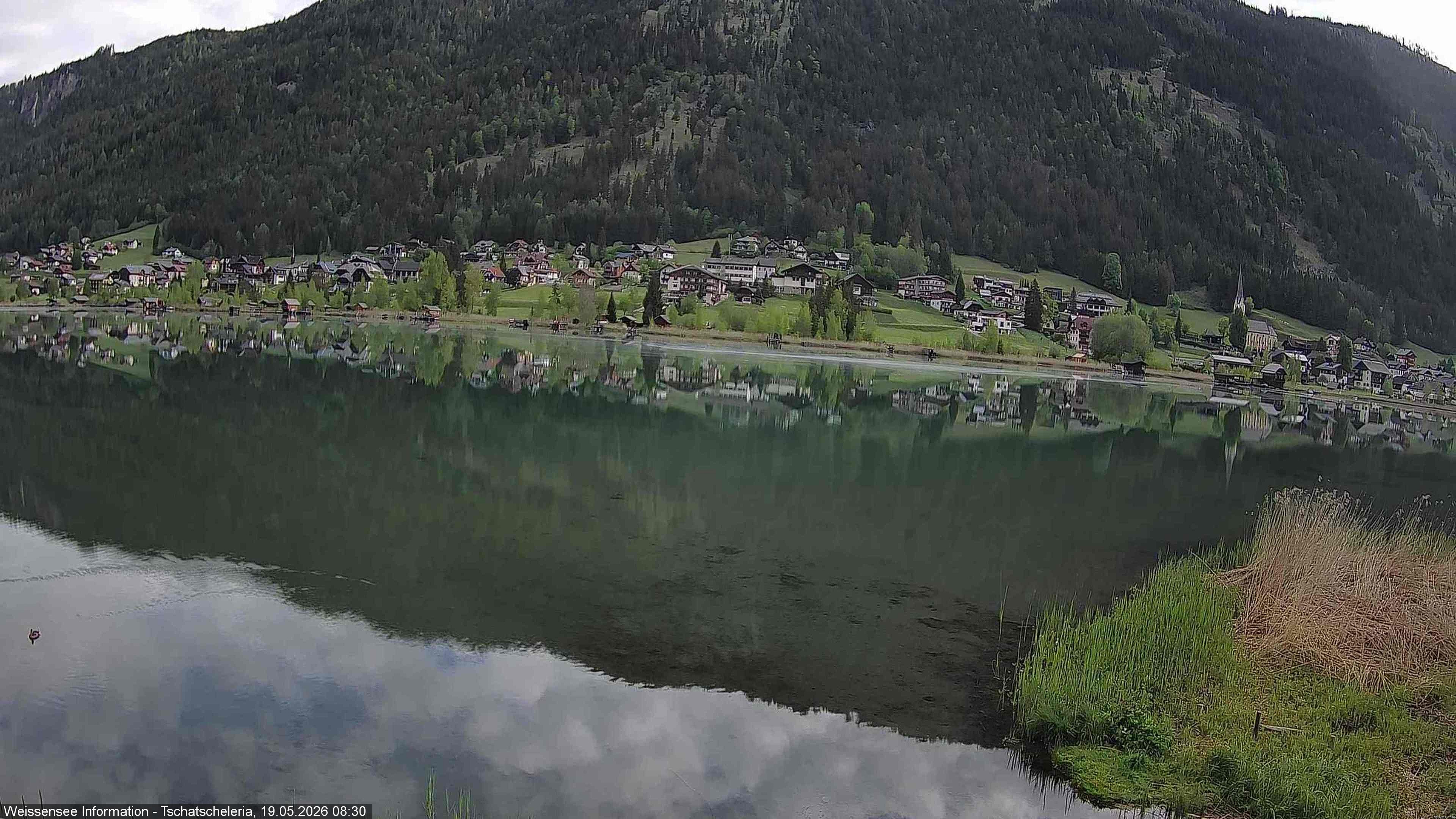 Archiv Foto Webcam Weissensee: Seeblick von Tschatscheleria