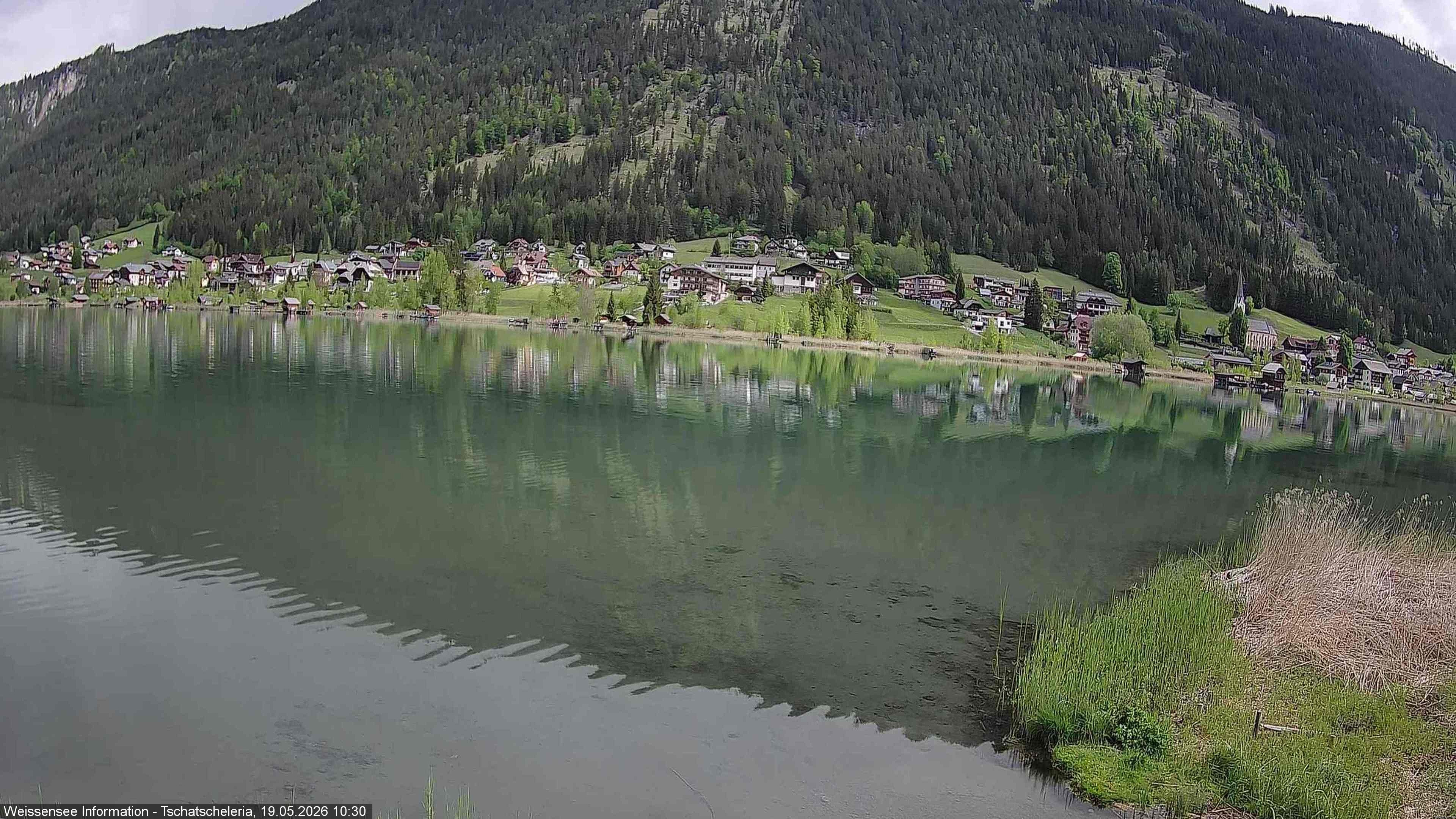 Archiv Foto Webcam Weissensee: Seeblick von Tschatscheleria