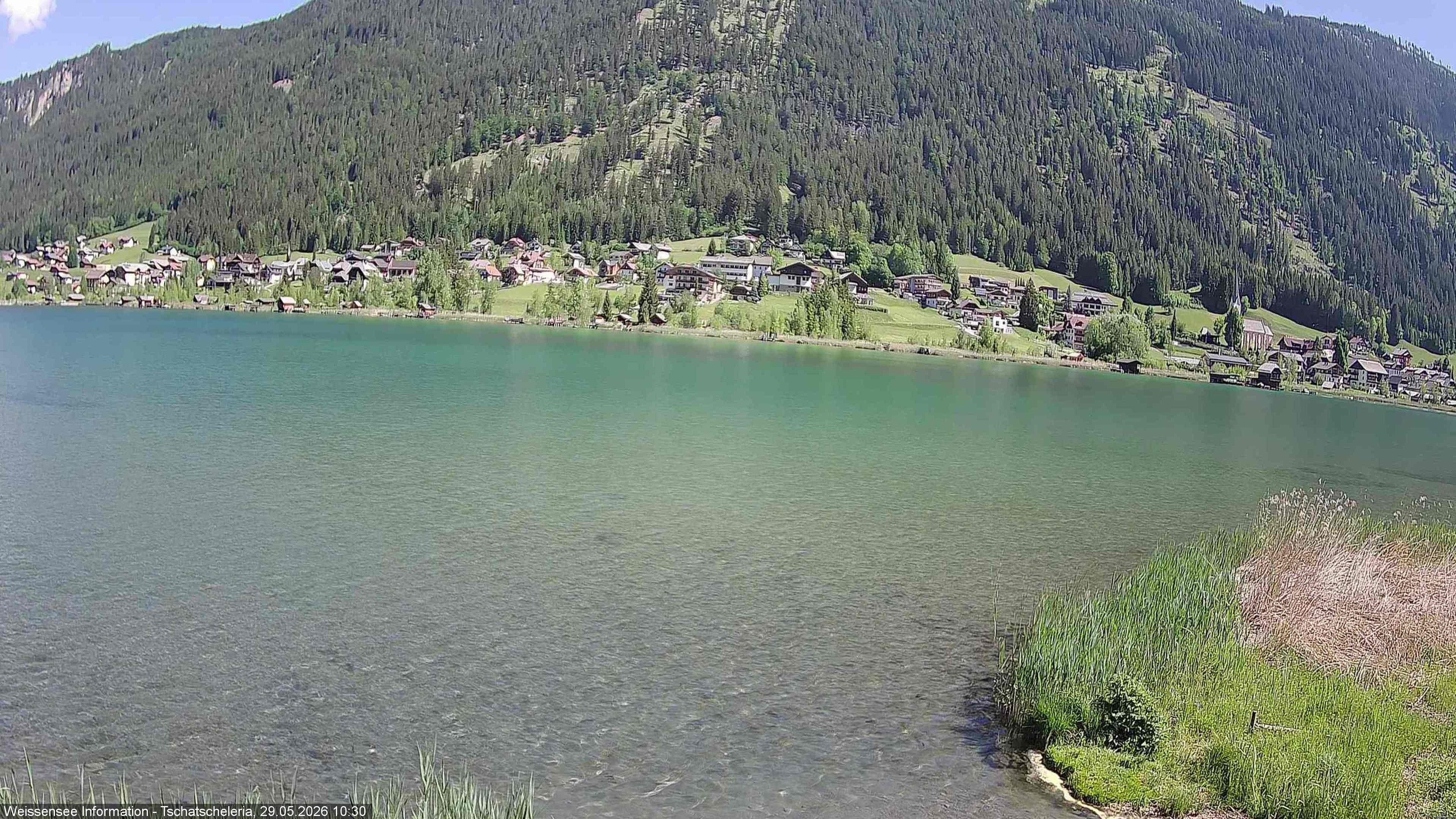 Archiv Foto Webcam Weissensee: Seeblick von Tschatscheleria