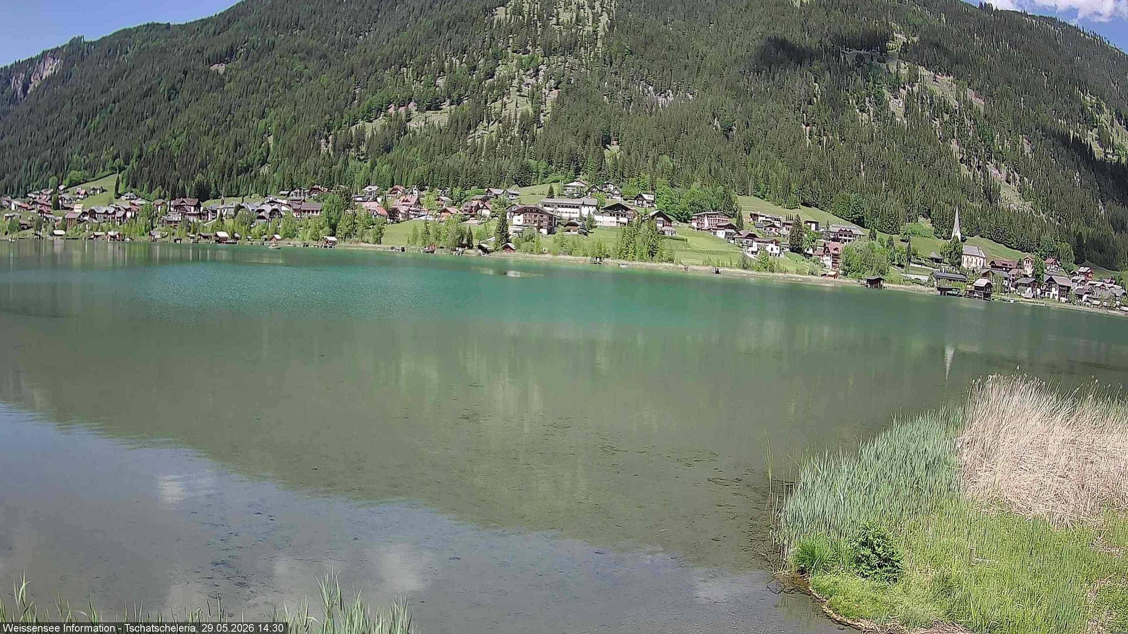 Archiv Foto Webcam Weissensee: Seeblick von Tschatscheleria
