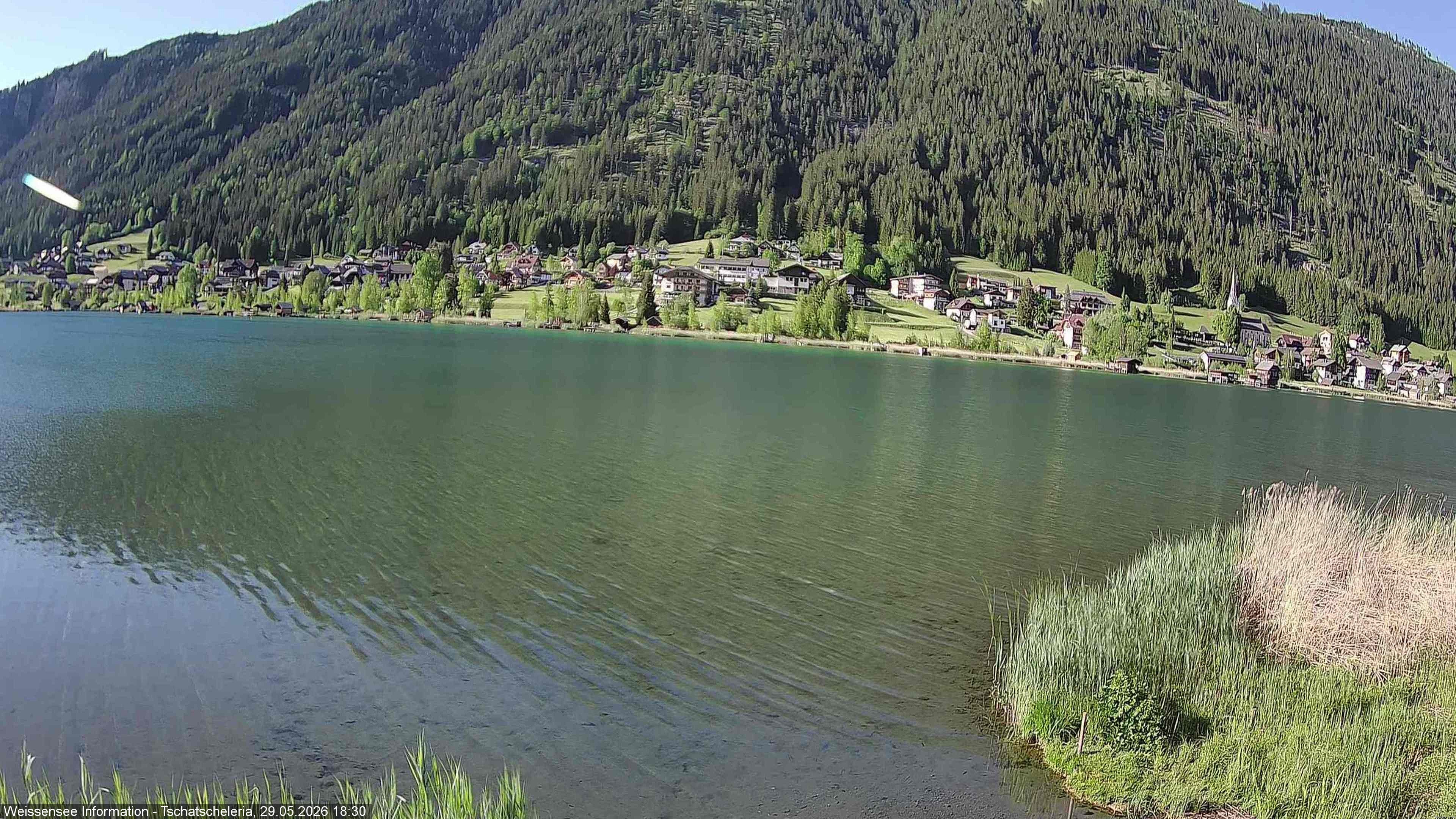 Archiv Foto Webcam Weissensee: Seeblick von Tschatscheleria