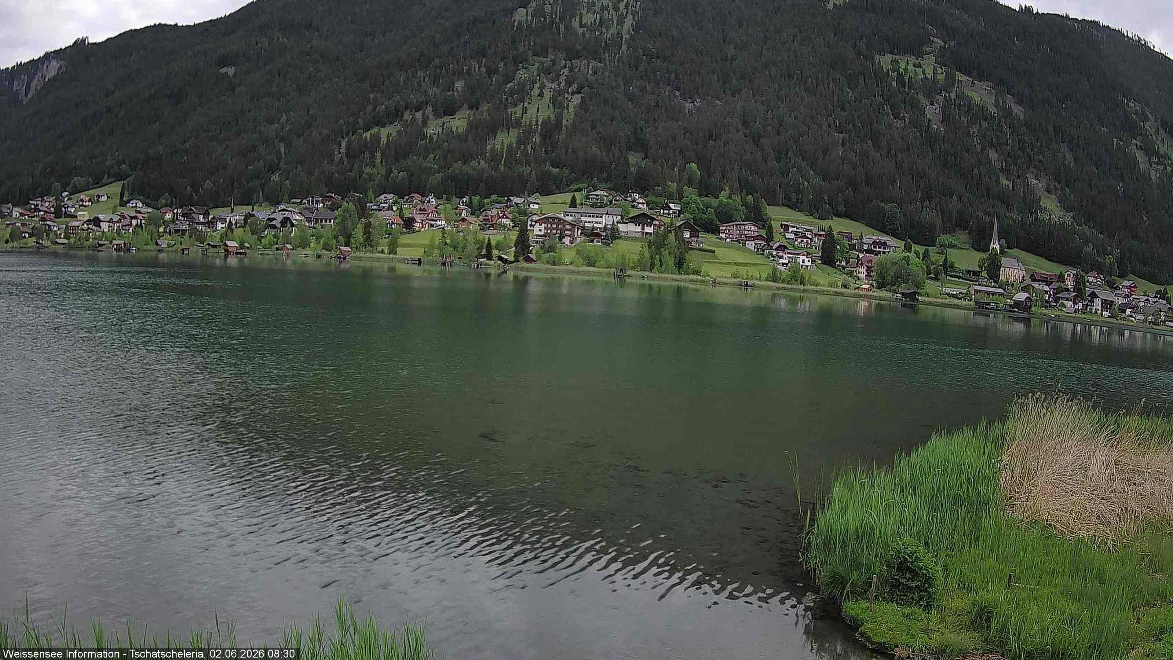 Archiv Foto Webcam Weissensee: Seeblick von Tschatscheleria