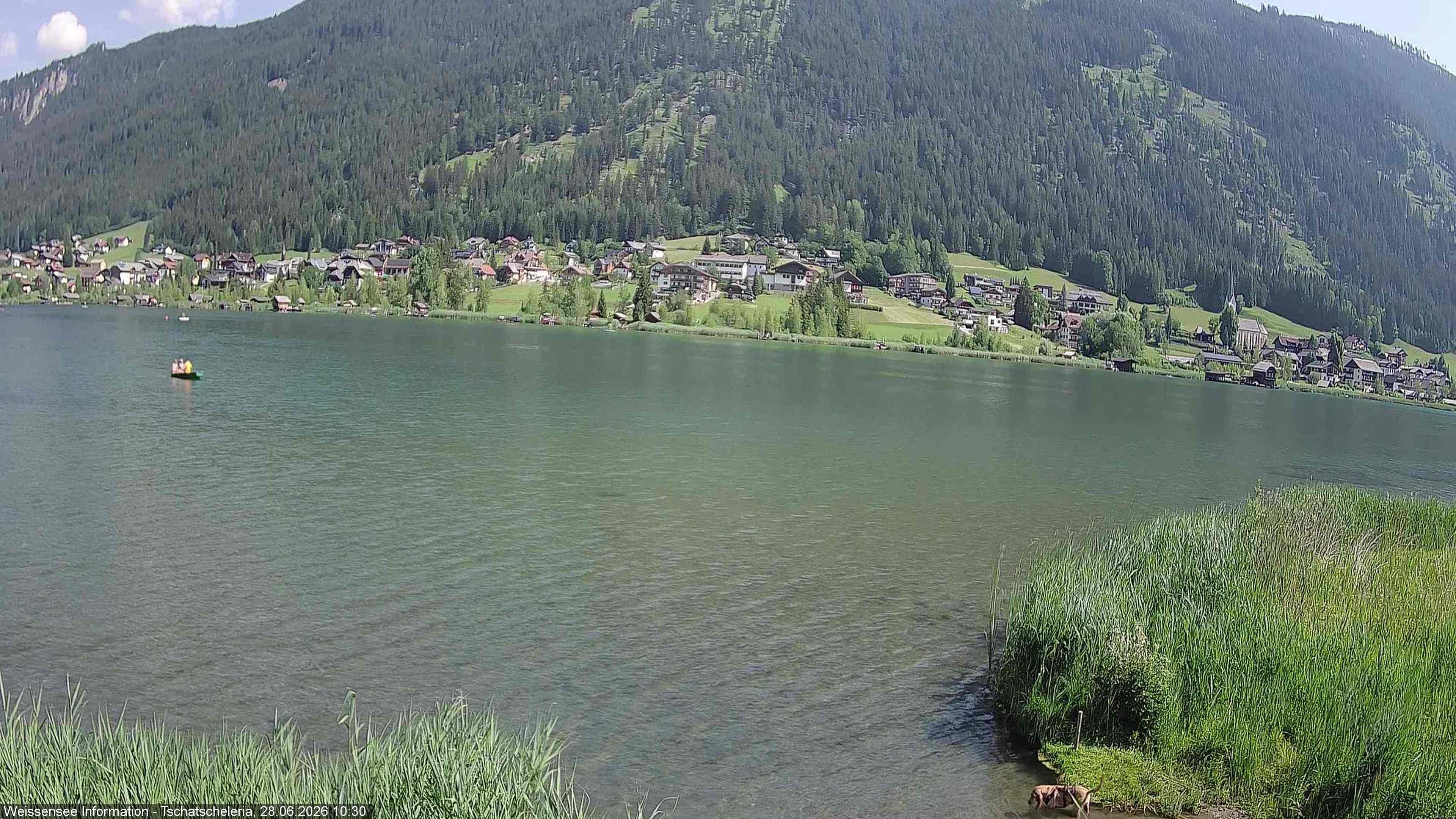 Archiv Foto Webcam Weissensee: Seeblick von Tschatscheleria