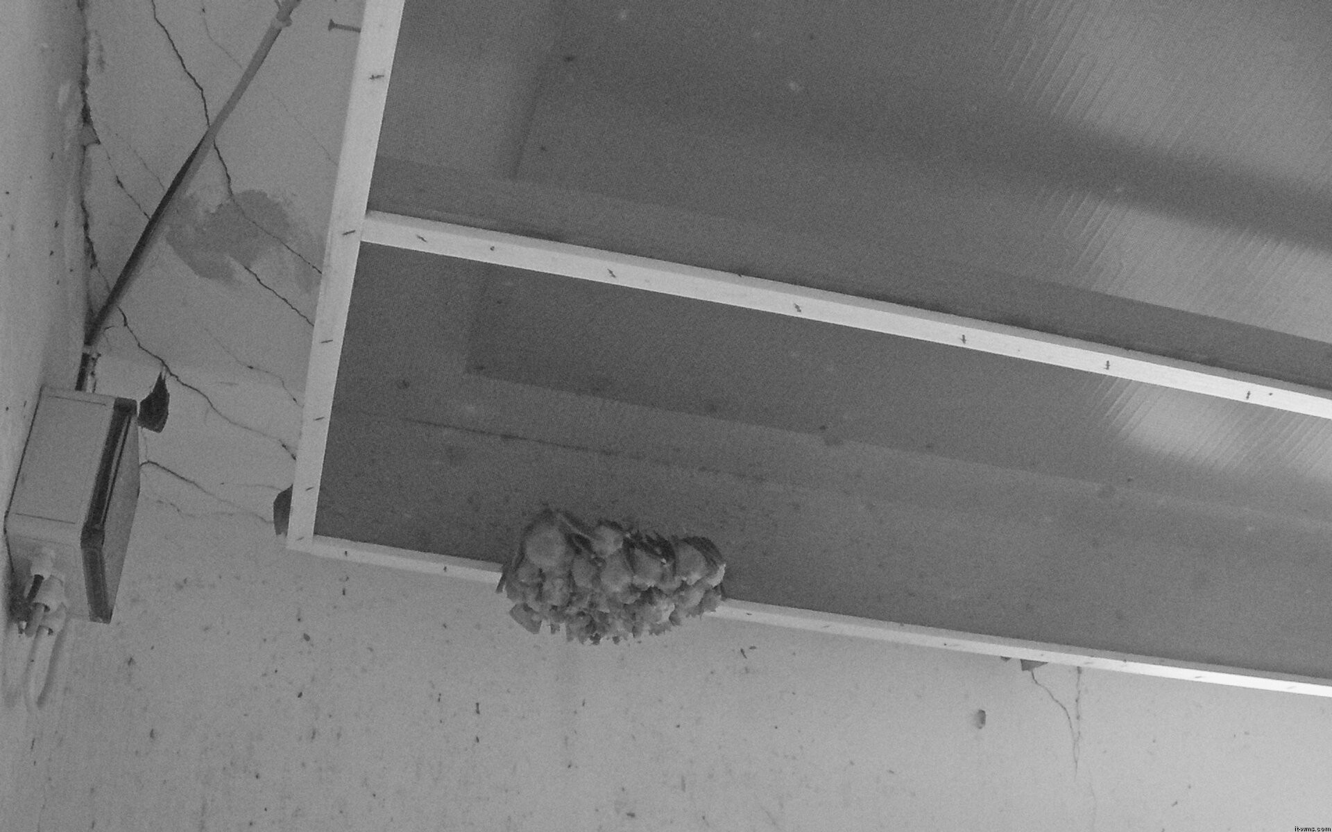 Archiv Foto Webcam Feistritz - Fledermaushaus