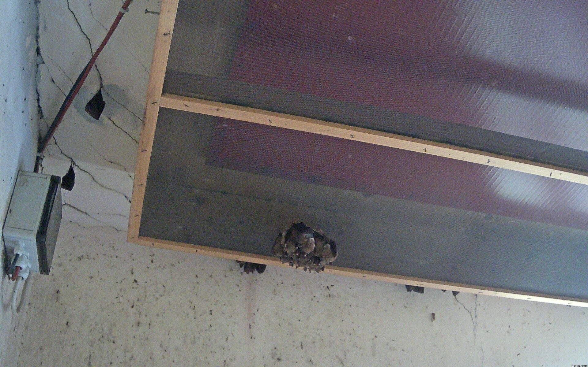 Archiv Foto Webcam Feistritz - Fledermaushaus