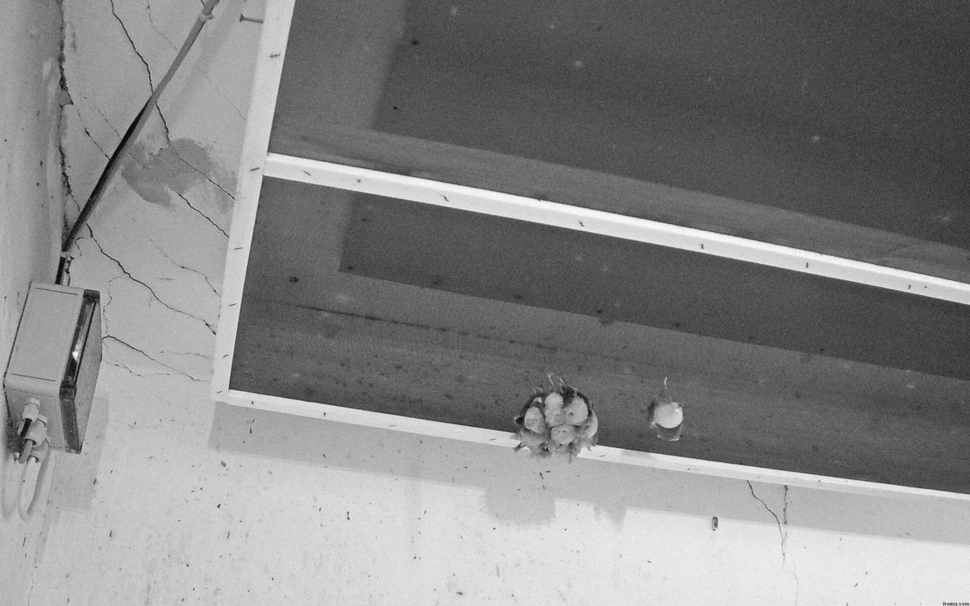 Archiv Foto Webcam Feistritz - Fledermaushaus