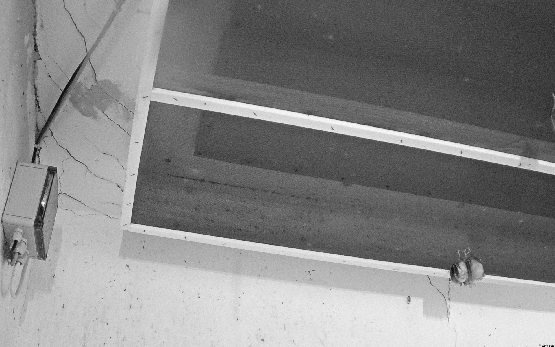 Archiv Foto Webcam Feistritz - Fledermaushaus
