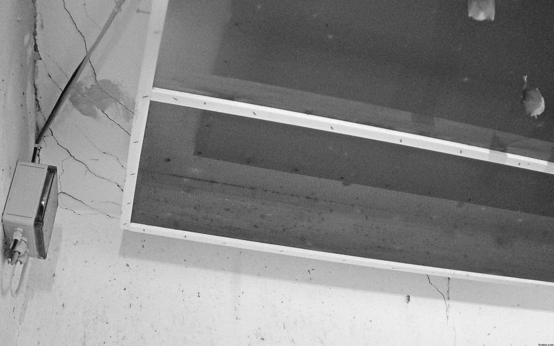 Archiv Foto Webcam Feistritz - Fledermaushaus