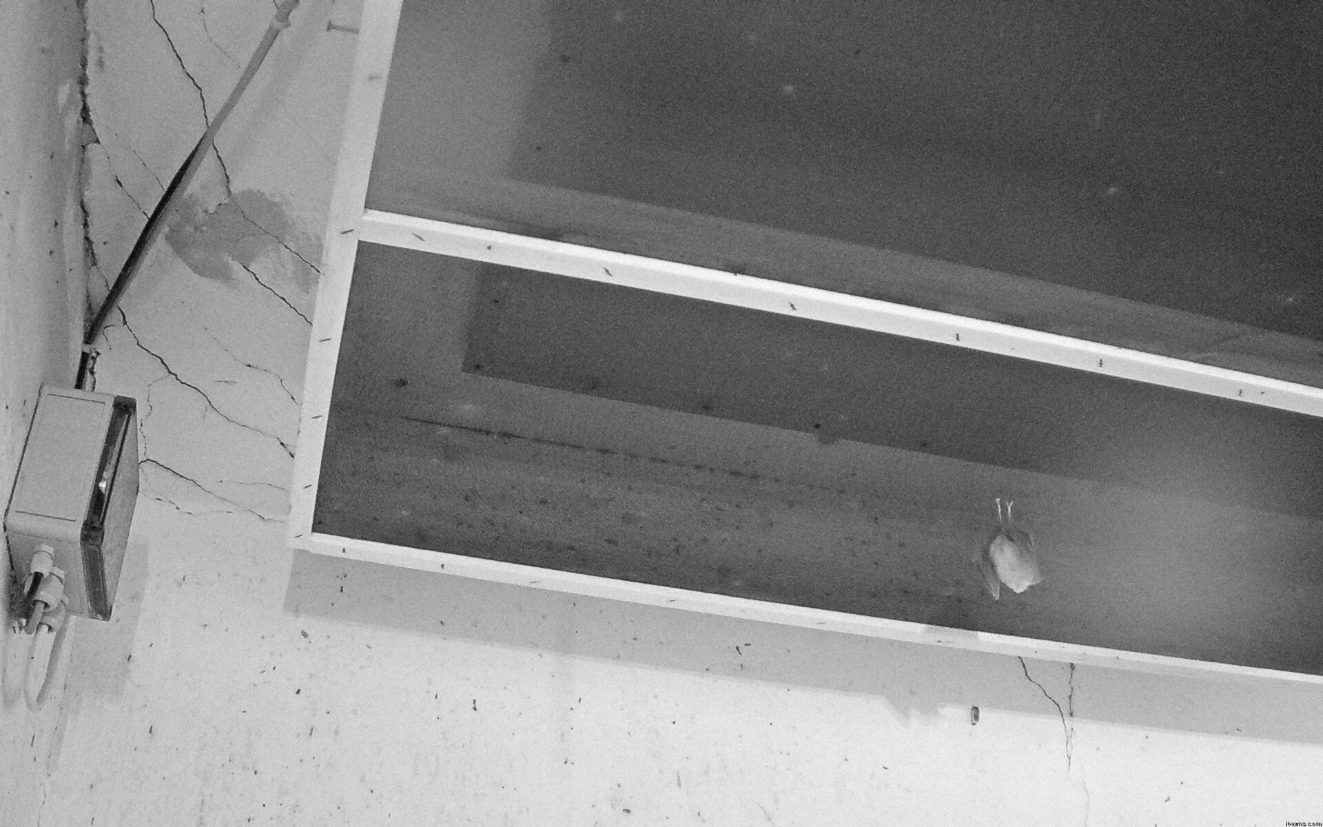 Archiv Foto Webcam Feistritz - Fledermaushaus
