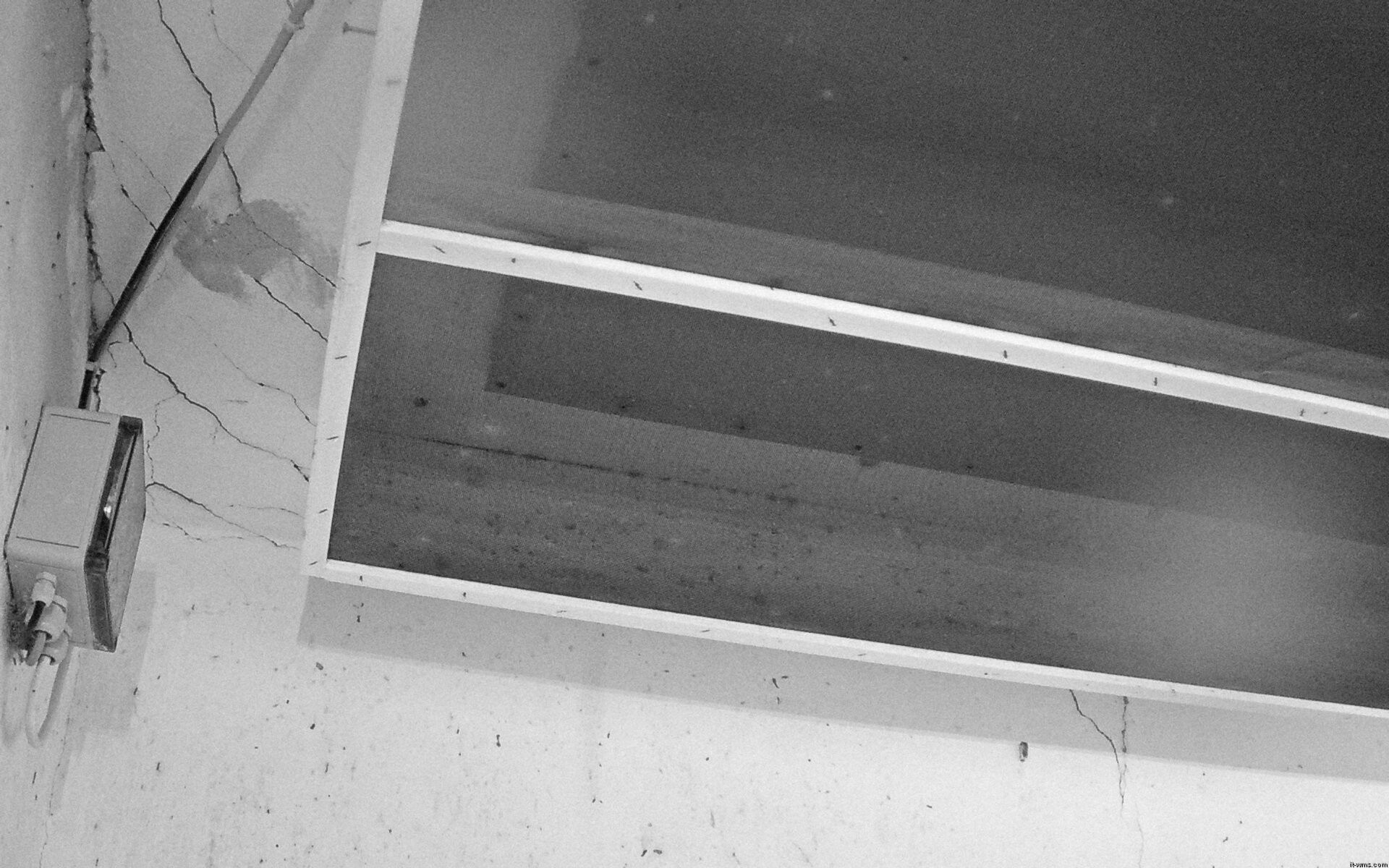 Archived image Webcam Feistritz / Gail - Bat House
