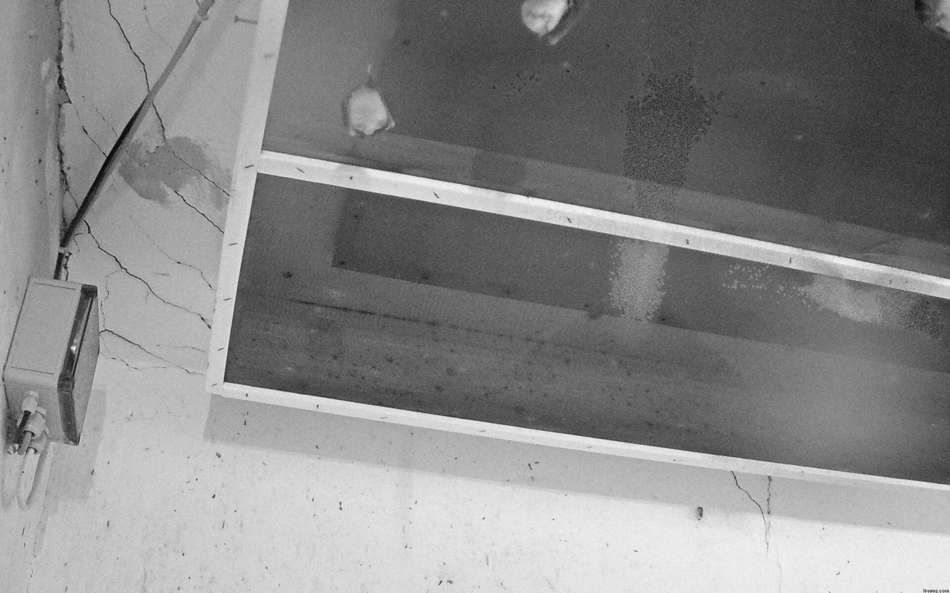 Archiv Foto Webcam Feistritz - Fledermaushaus