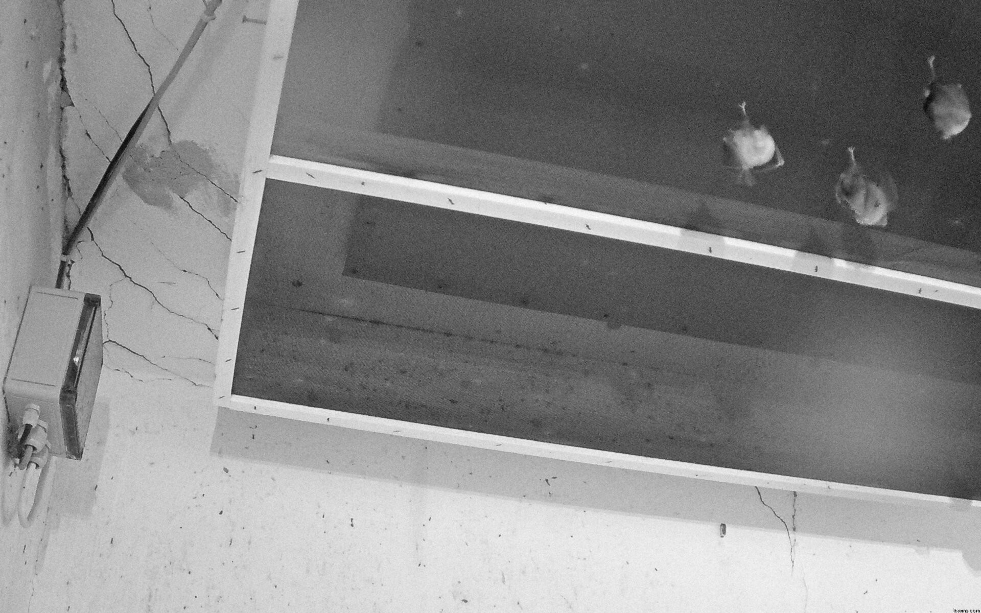 Archiv Foto Webcam Feistritz - Fledermaushaus