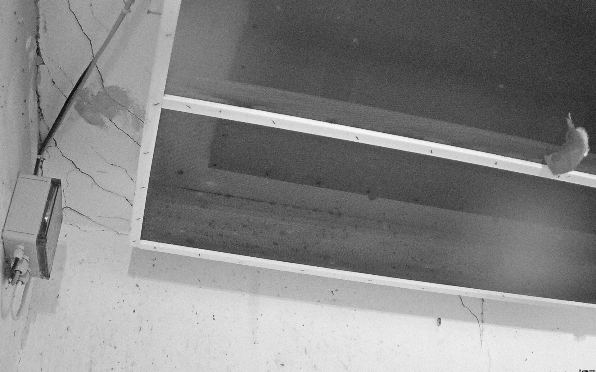 Archiv Foto Webcam Feistritz - Fledermaushaus