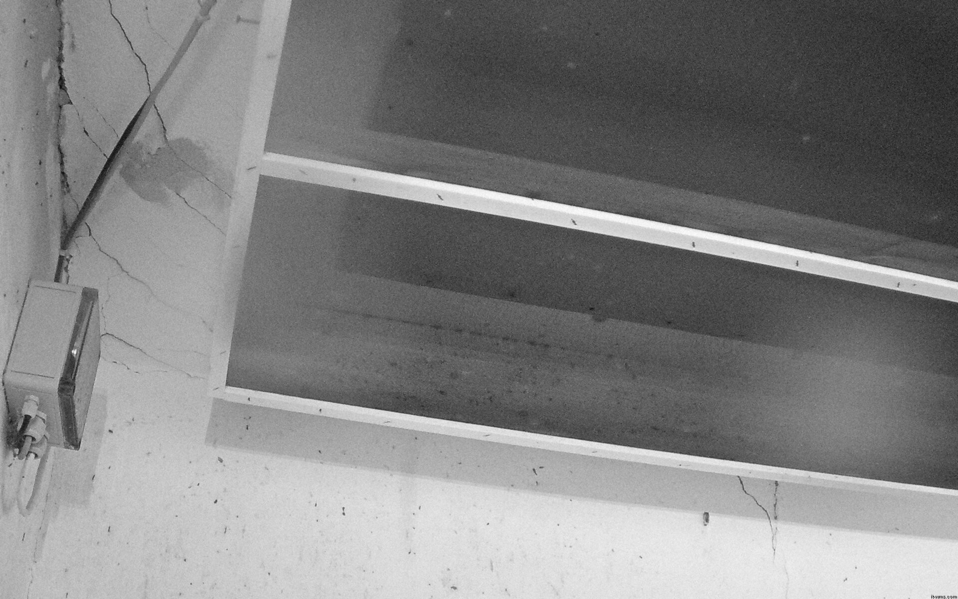 Archived image Webcam Feistritz / Gail - Bat House